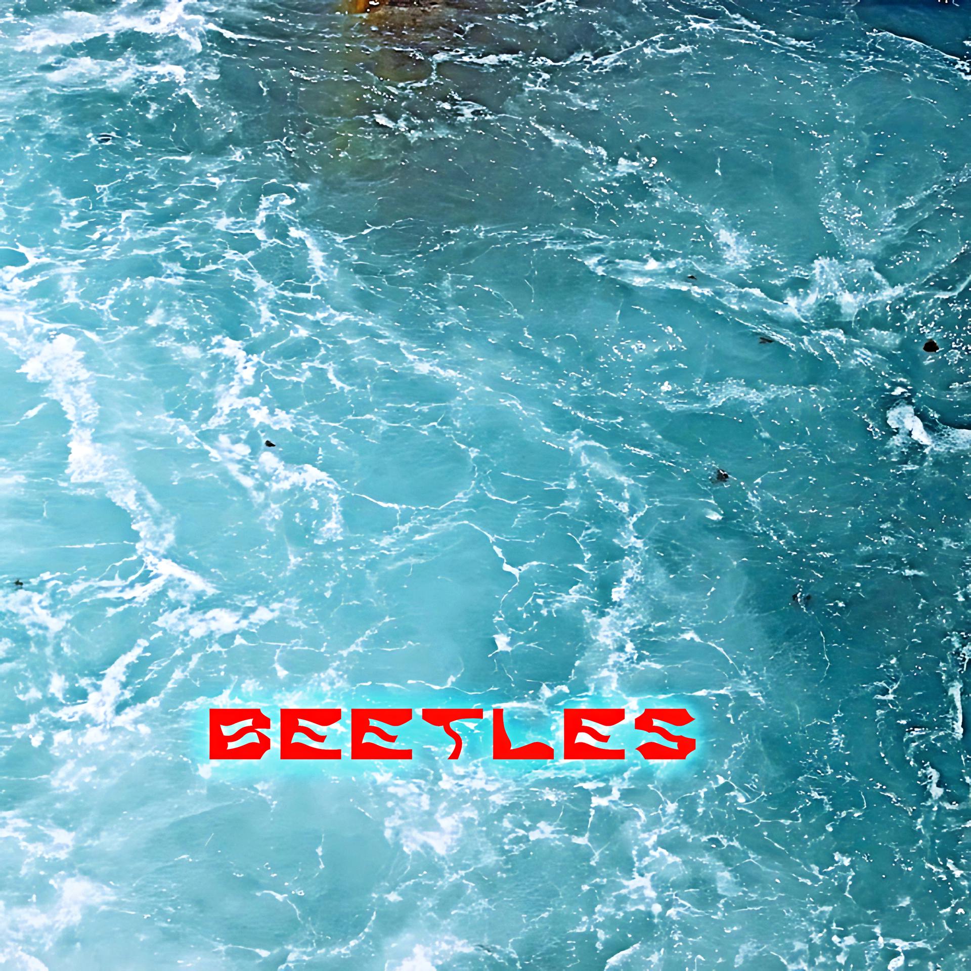 Постер альбома Beetles