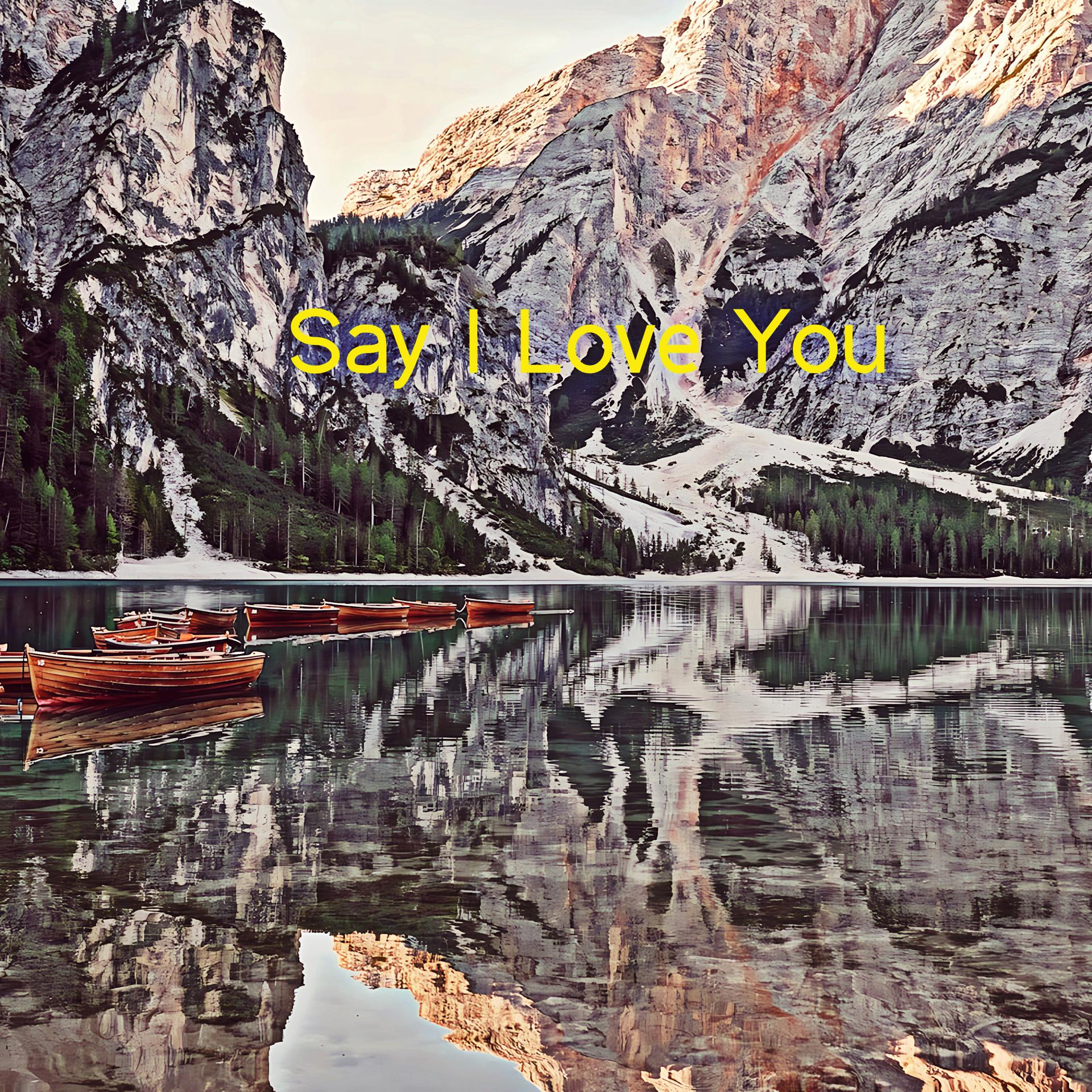 Постер альбома Say I Love You
