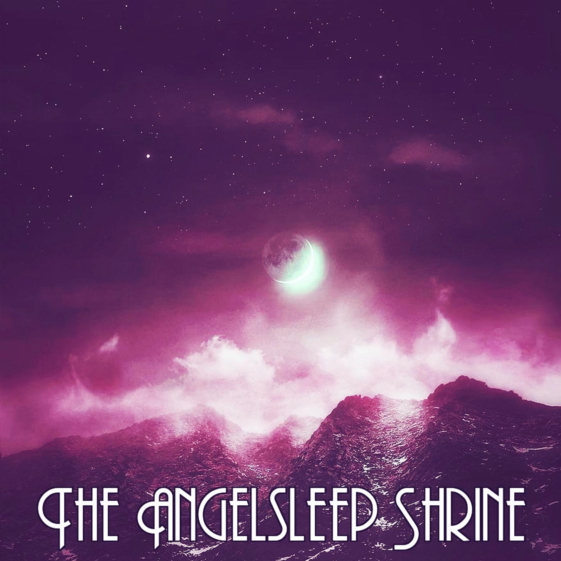 Постер альбома The Angelsleep Shrine