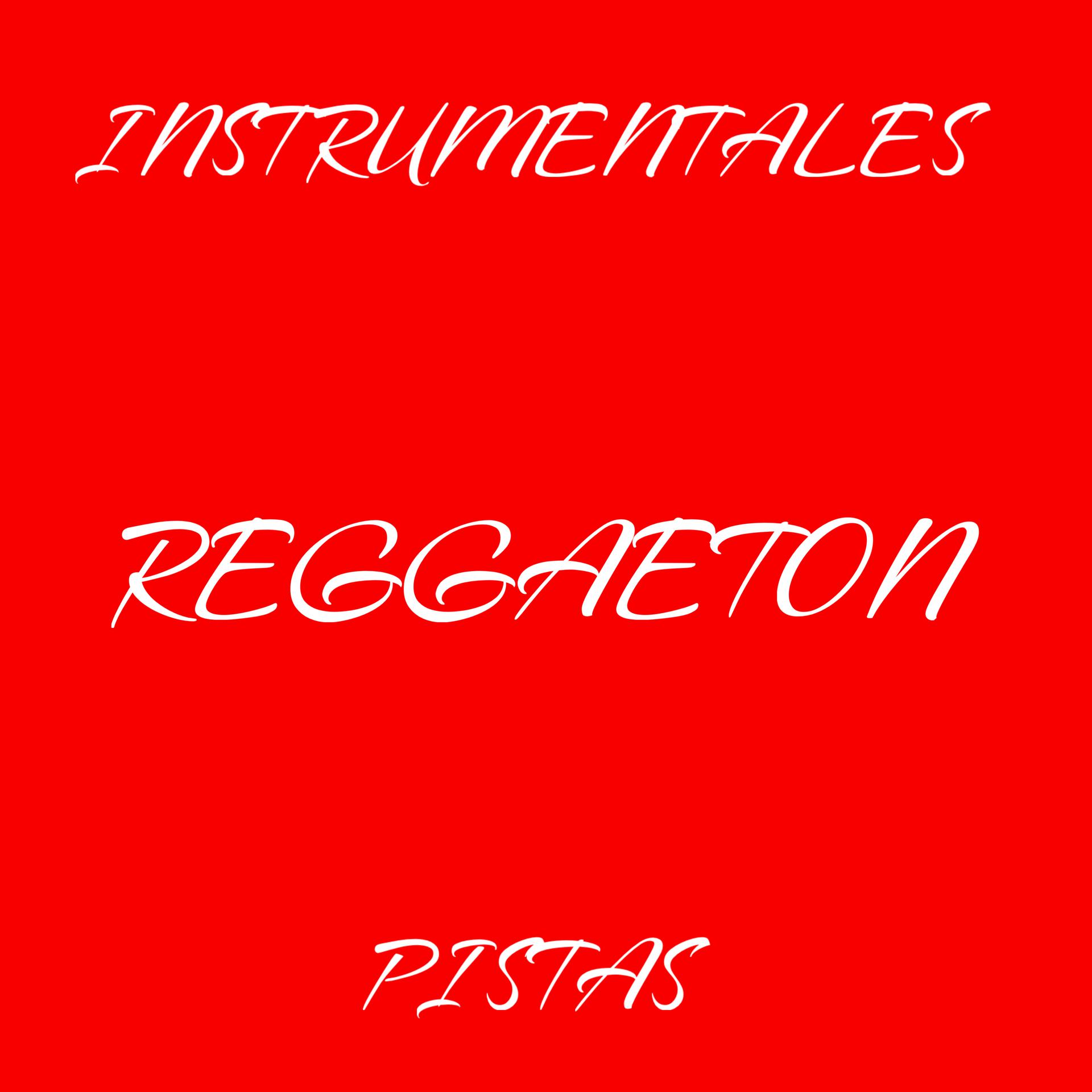 Постер альбома Instrumentales Pistas Reggaeton