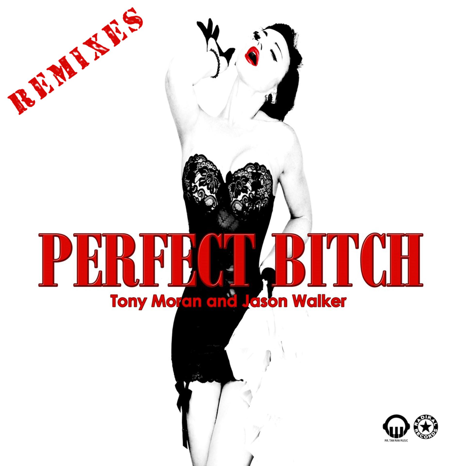 Постер альбома Perfect Bitch (Remixes)