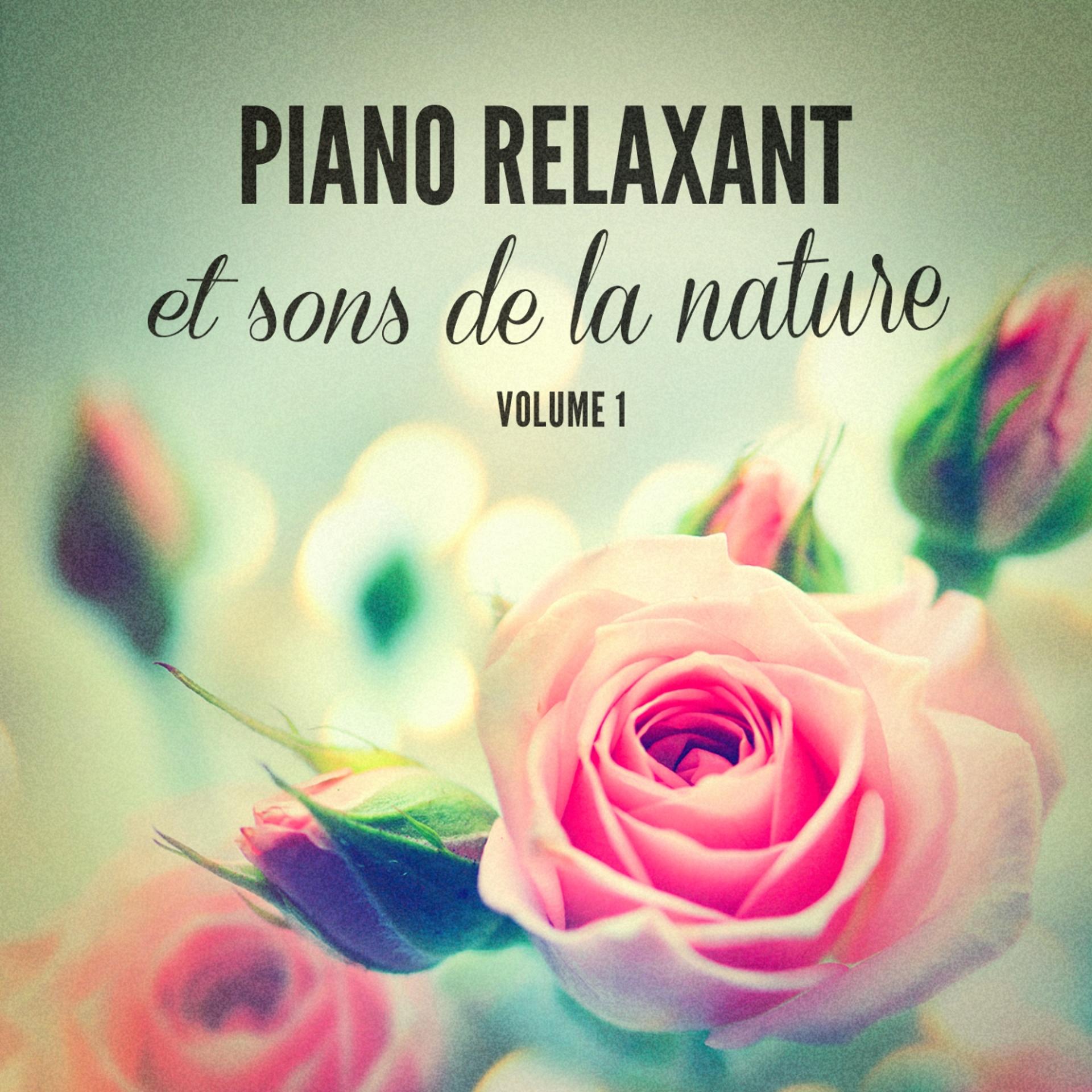 Постер альбома Piano relaxant et sons de la nature