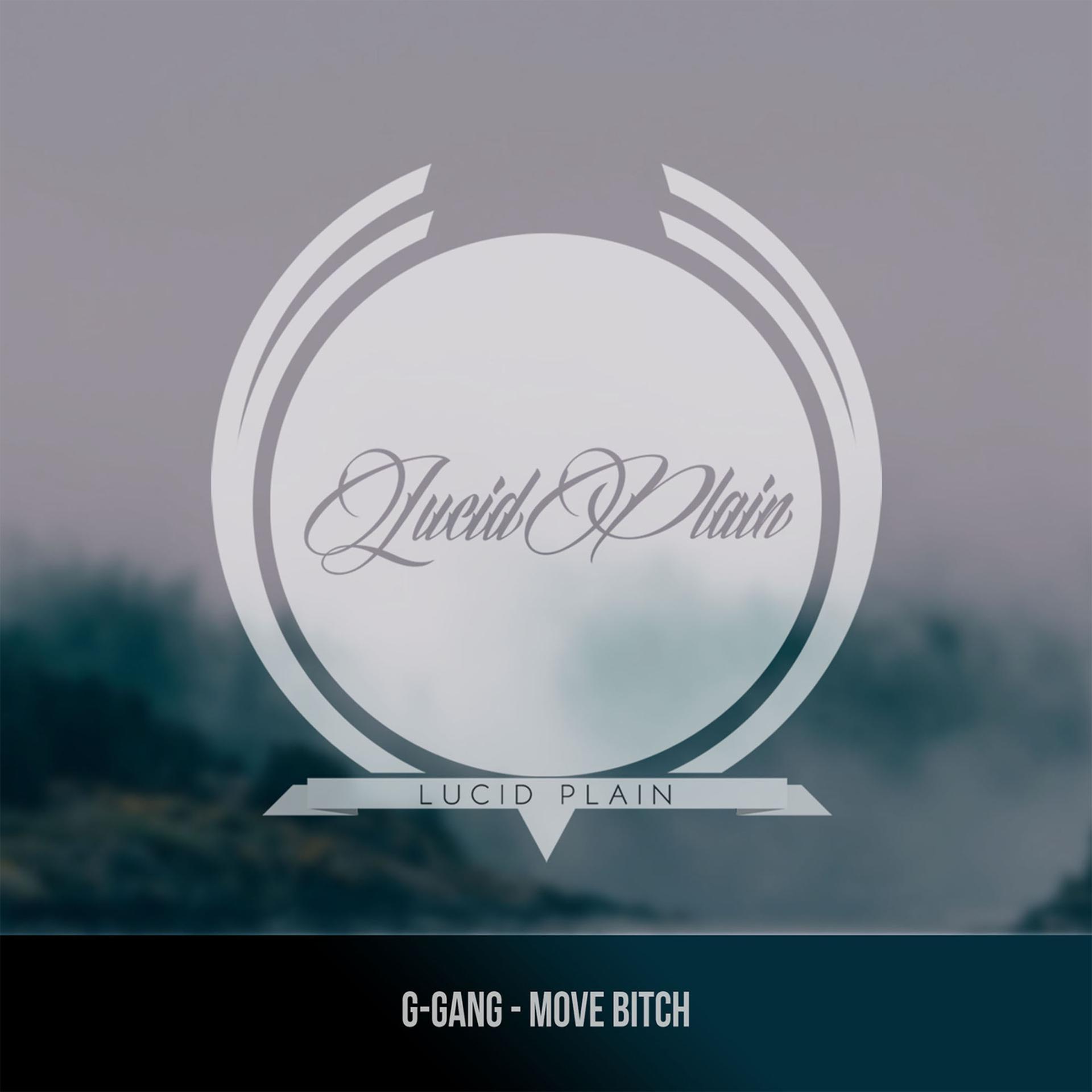 Постер альбома Move Bitch