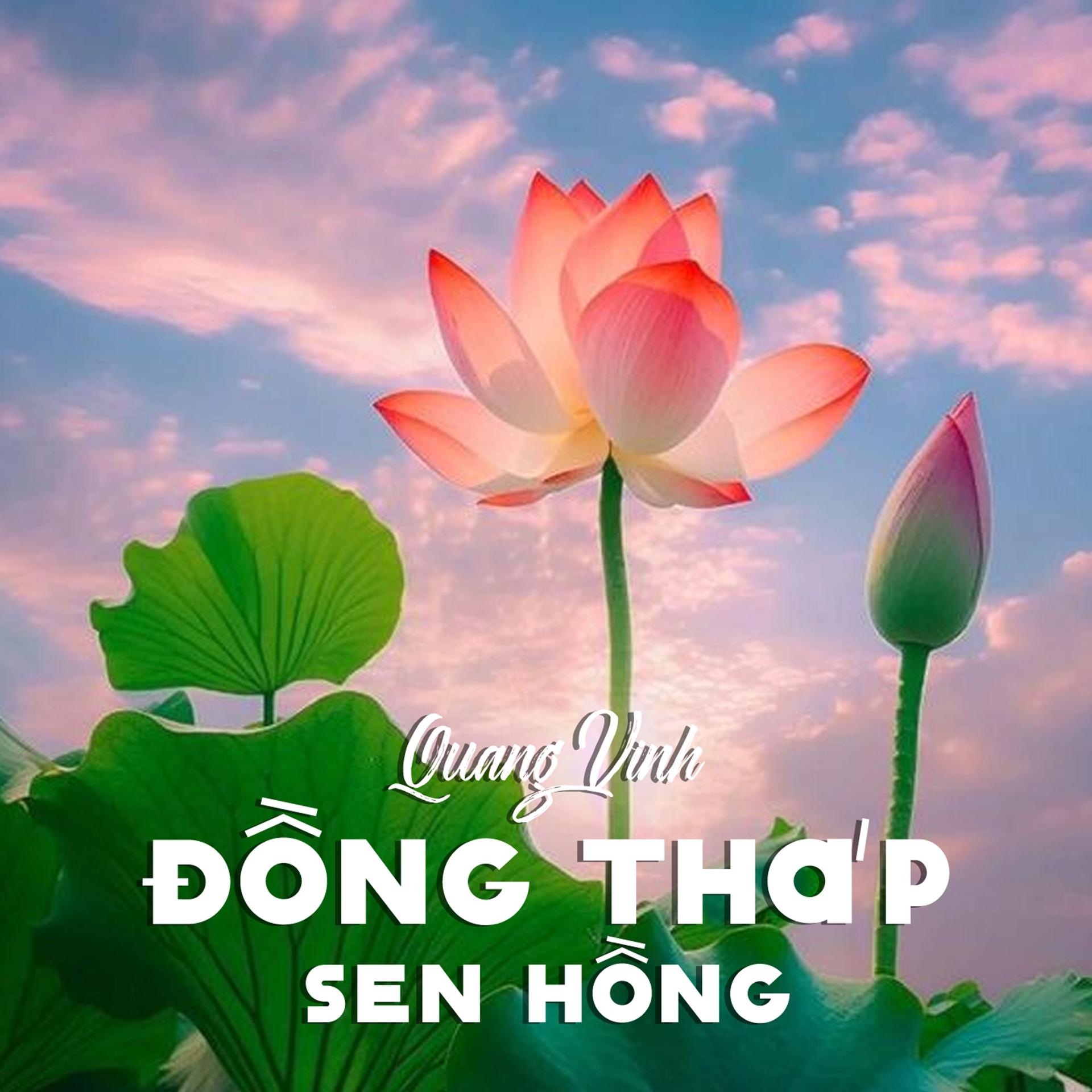 Постер альбома Đồng Tháp Sen Hồng