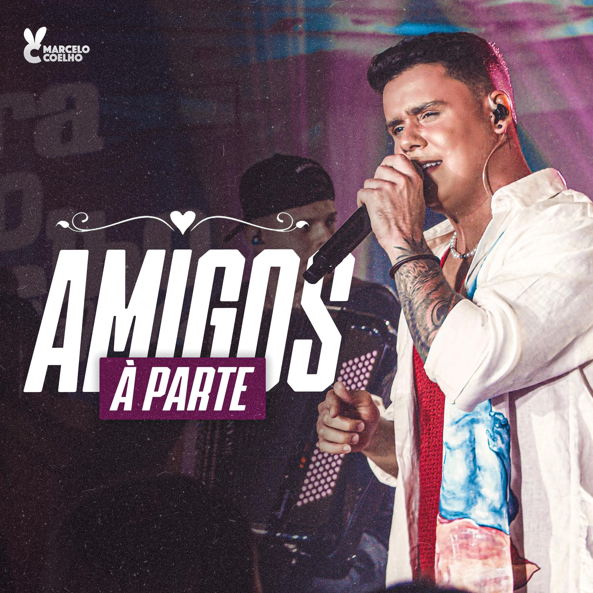 Постер альбома Amigos à Parte (Farra do Coelho Acústico)