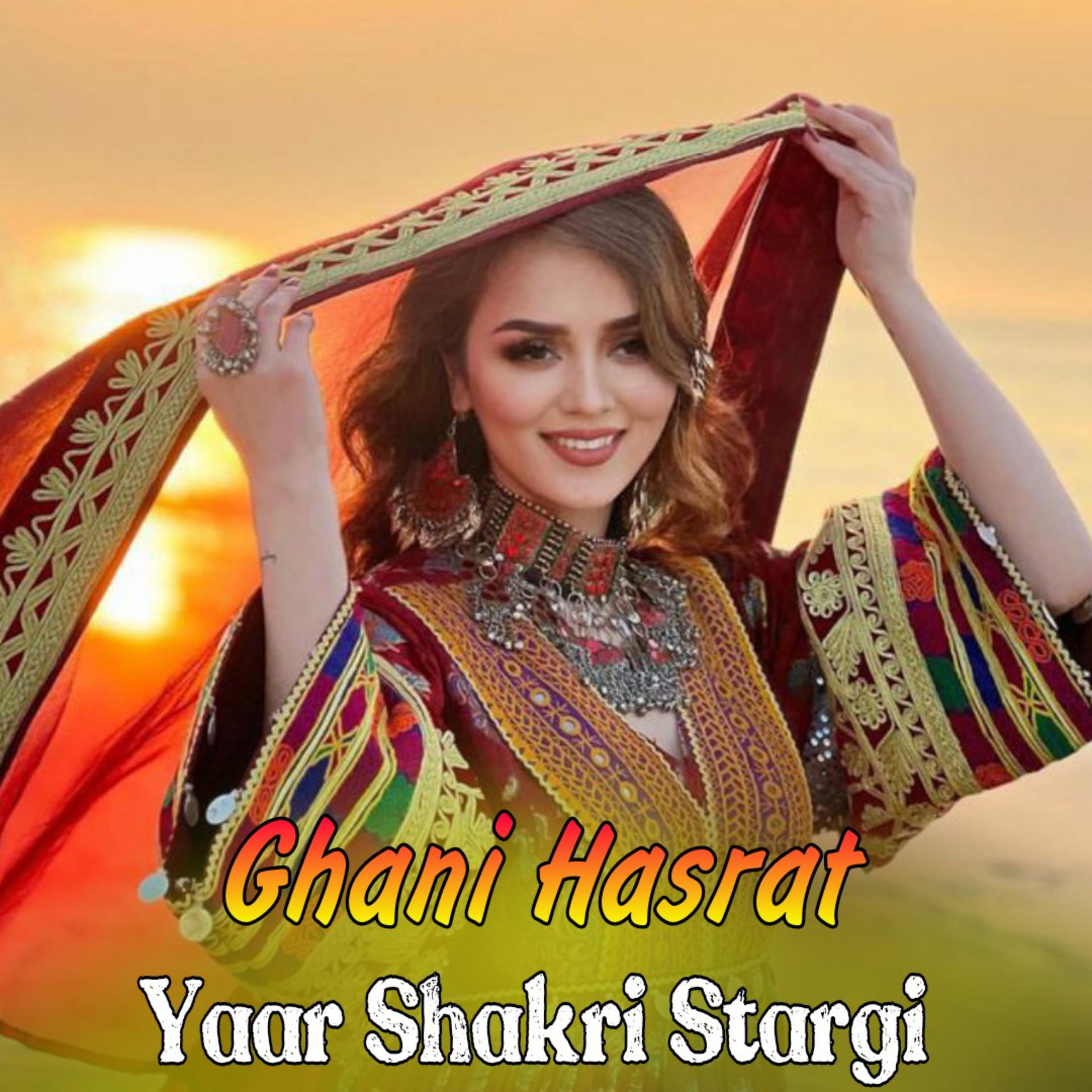 Постер альбома Yaar Shakri Stargi