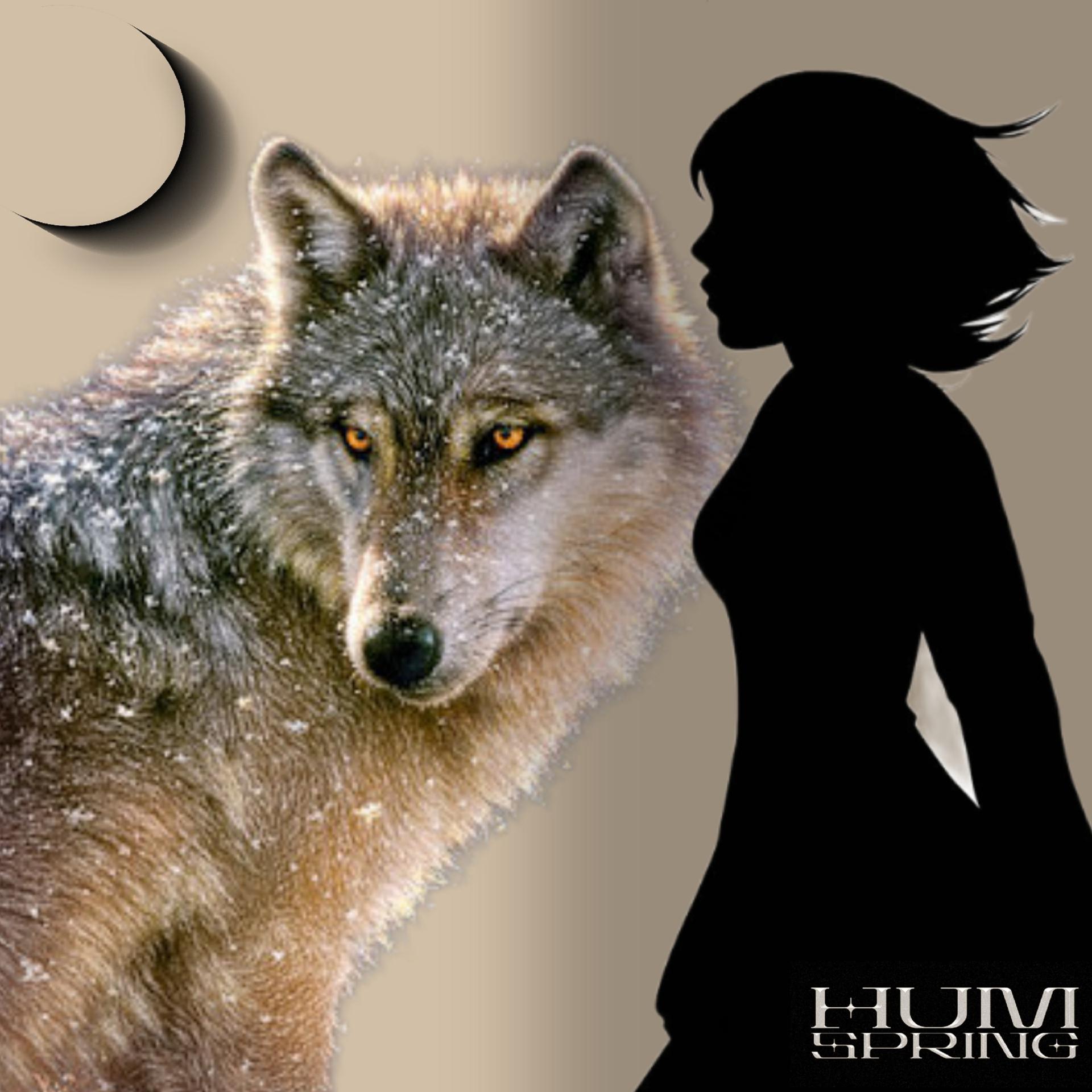 Постер альбома Мой волк