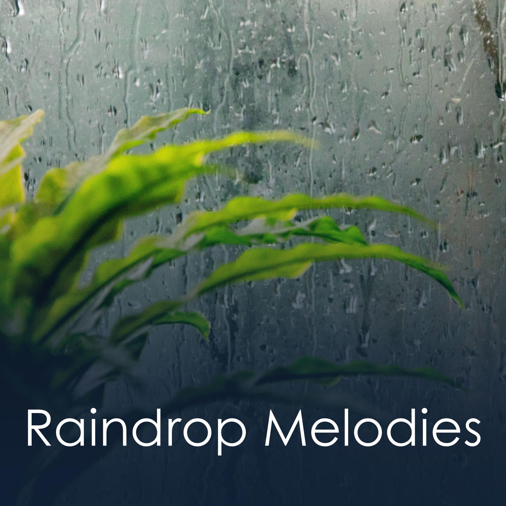 Постер альбома Raindrop Melodies