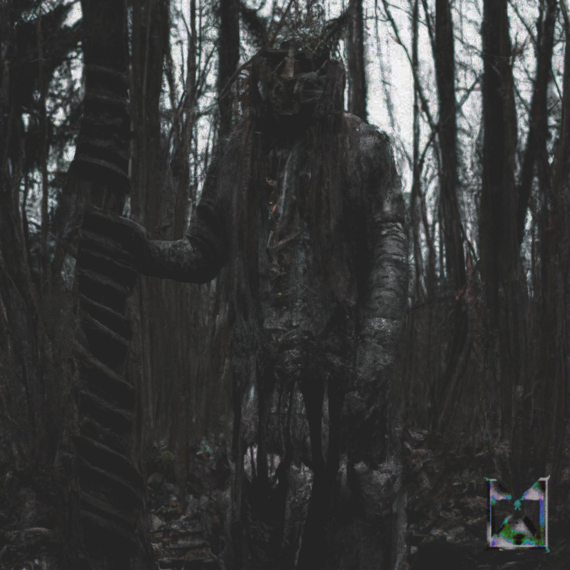 Постер альбома Forest Man
