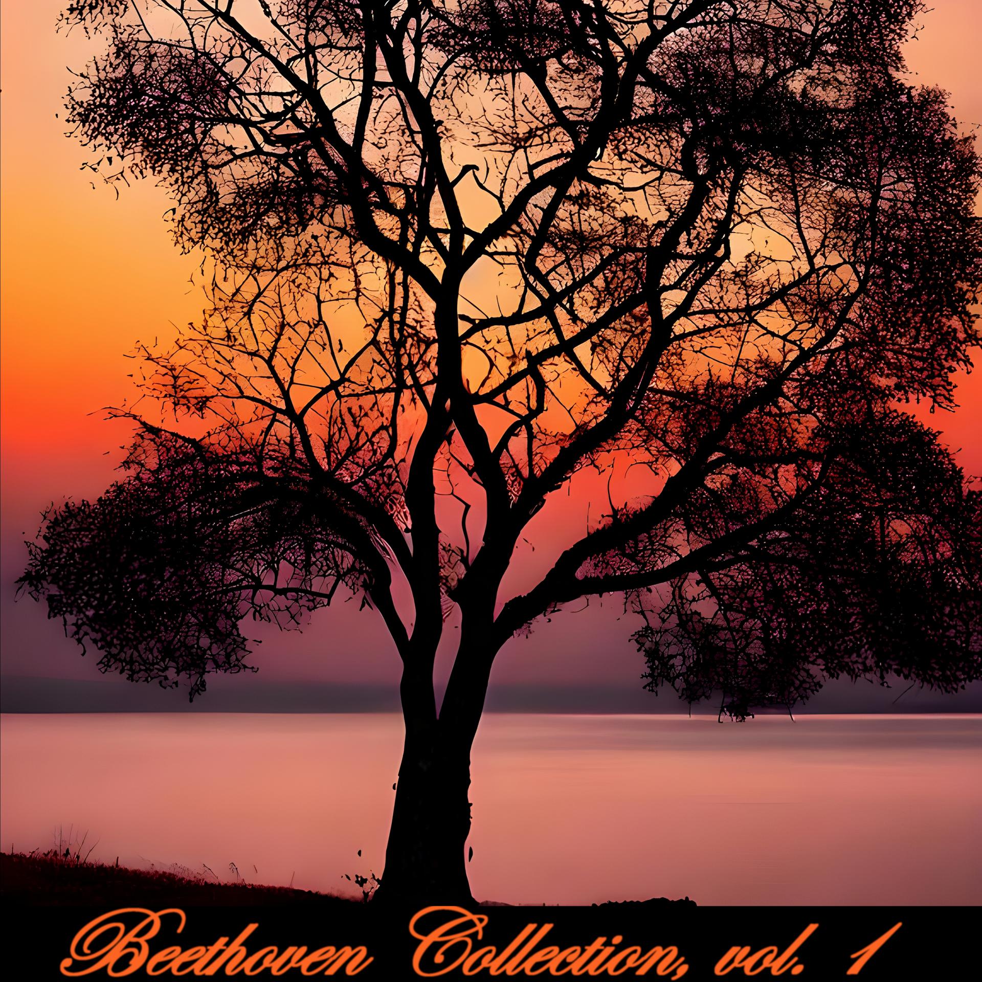 Постер альбома Beethoven Collection, vol. 1