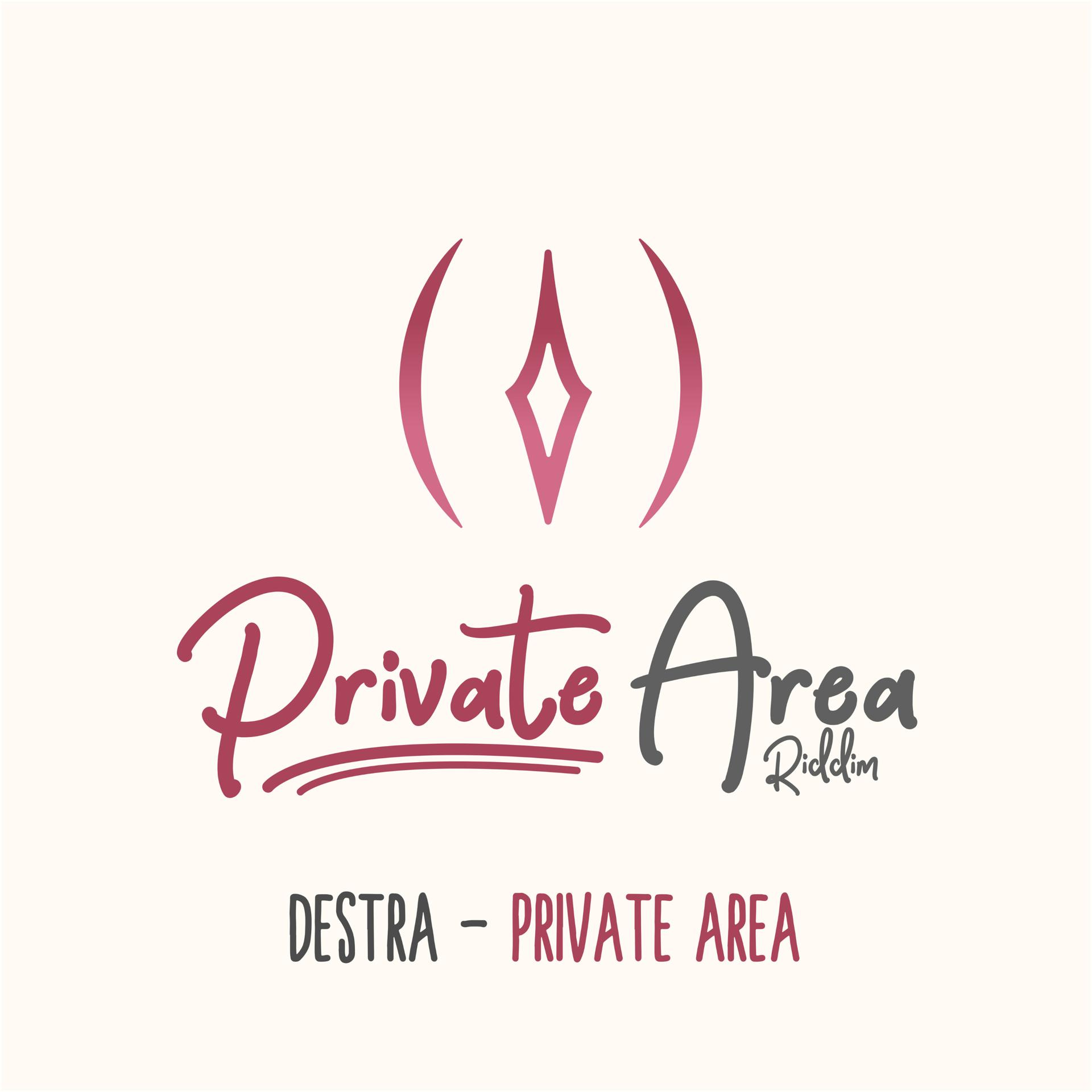 Постер альбома Private Area