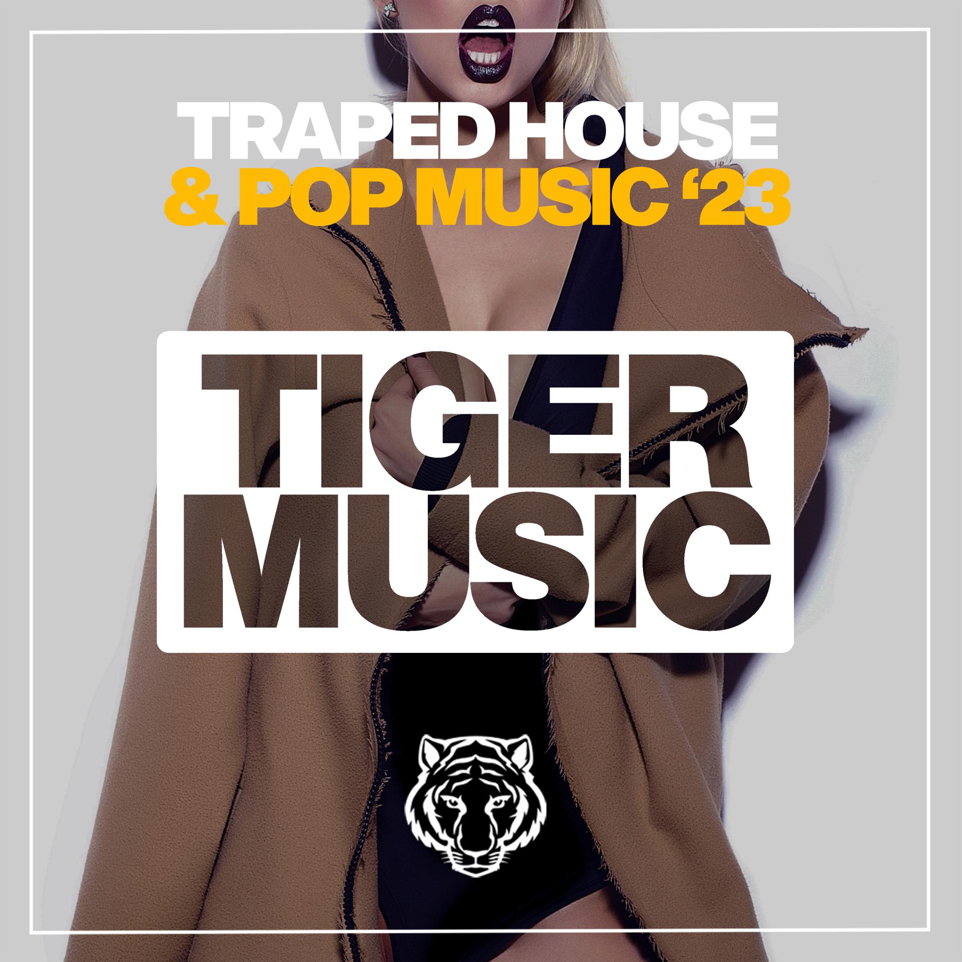 Постер альбома Traped House & Pop Music 2023