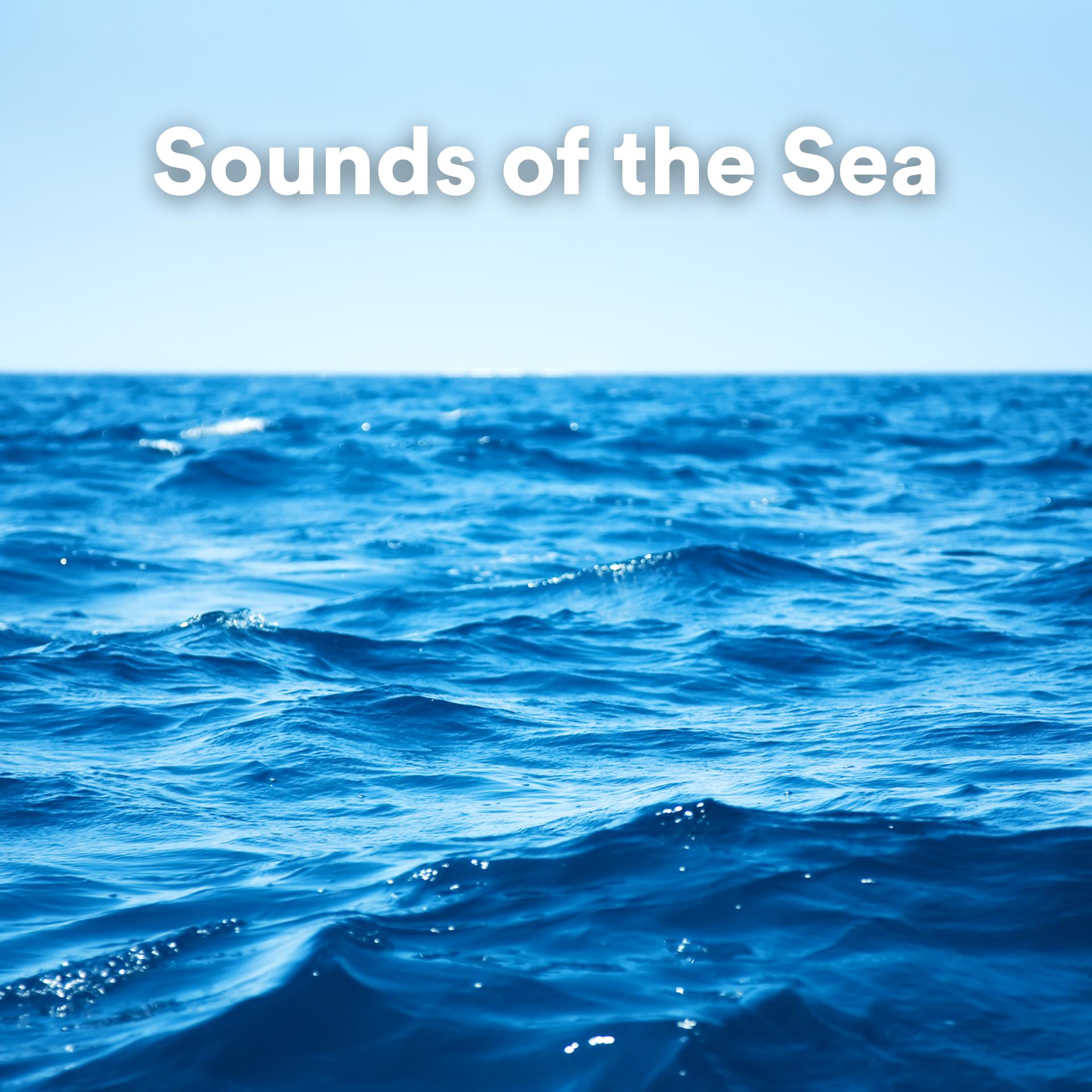 Постер альбома Sounds of the Sea