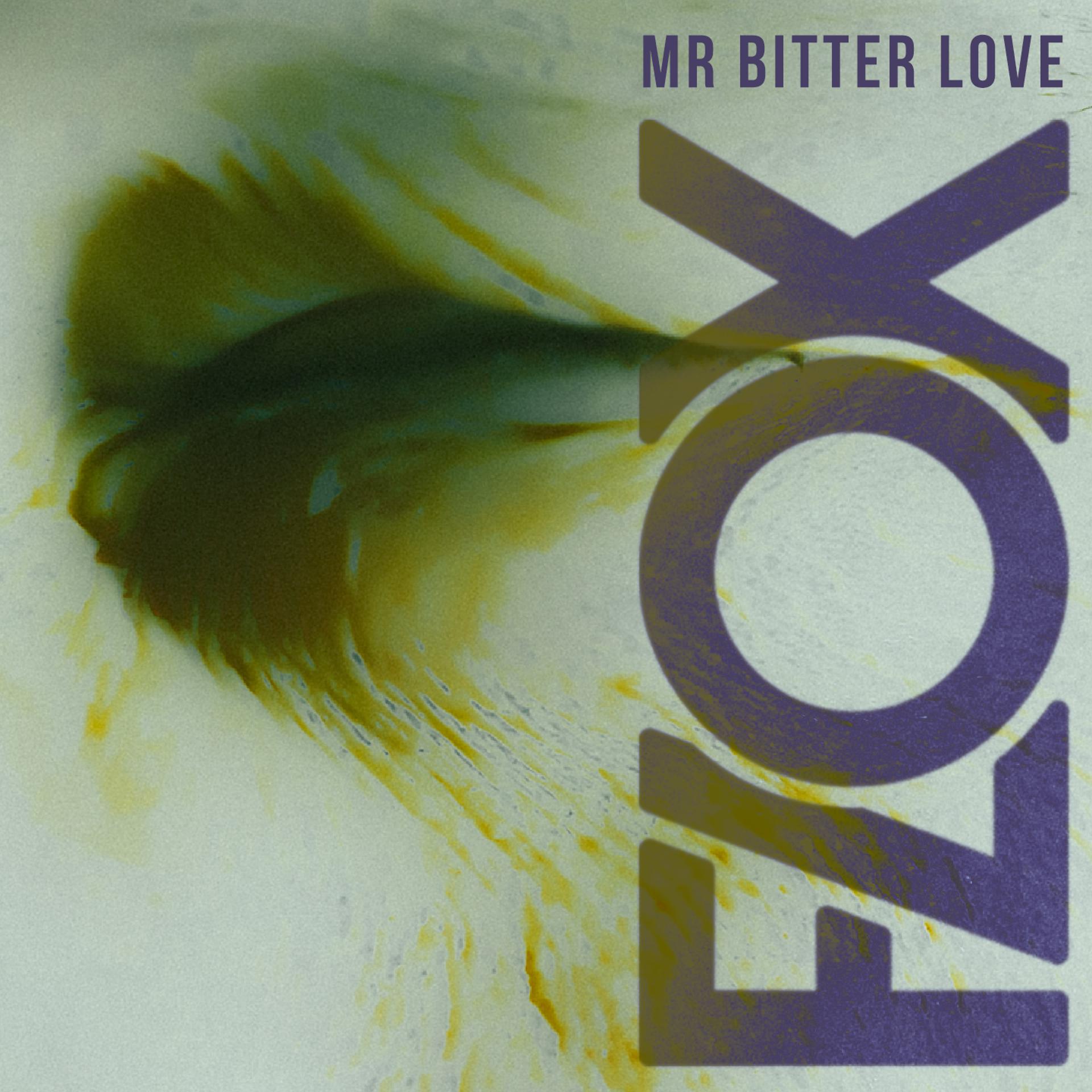 Постер альбома Mr Bitter Love