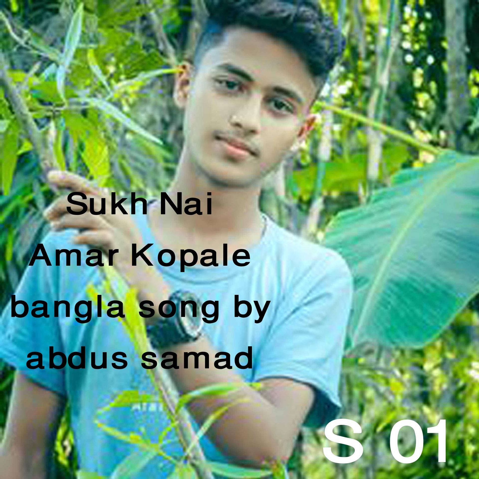 Постер альбома Sukh Nai Amar Kopale bangla