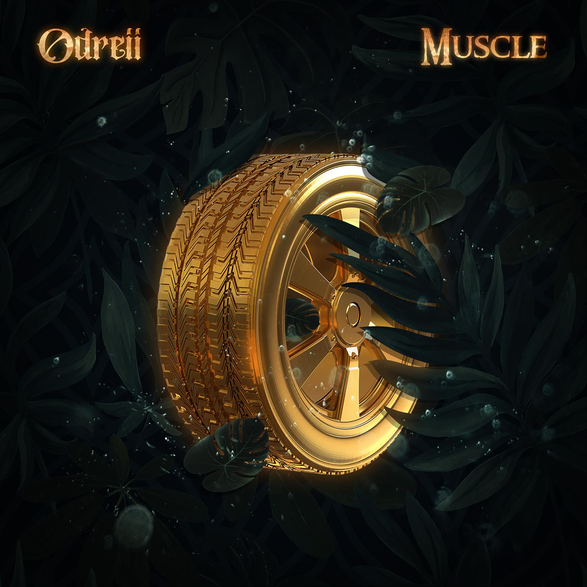 Постер альбома Muscle