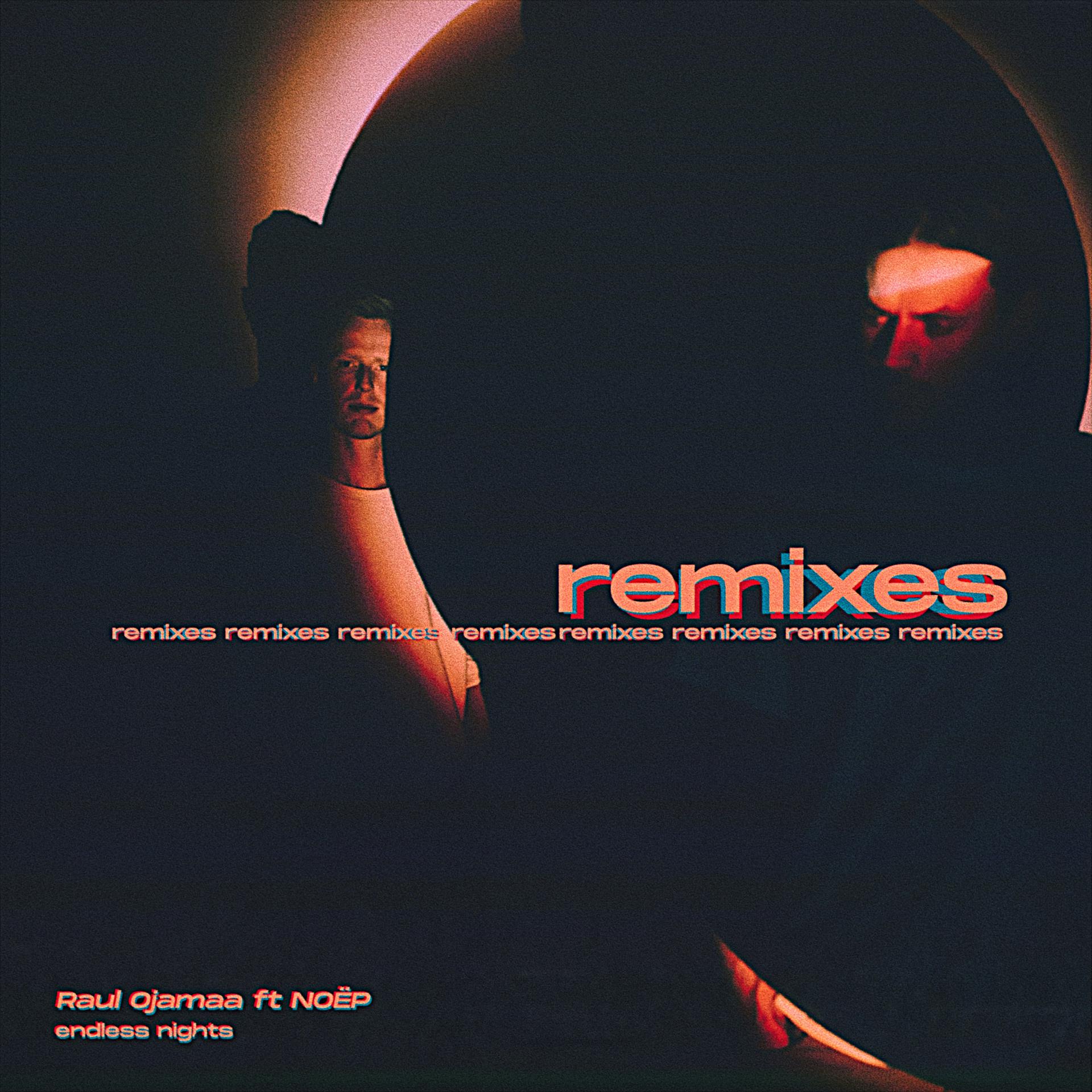 Постер альбома Endless Nights Remixes