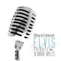 Постер альбома Black Velvet Elvis 25th Tribute