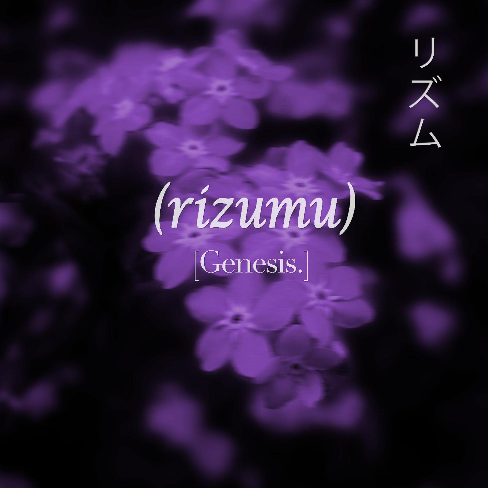Постер альбома Rizumu
