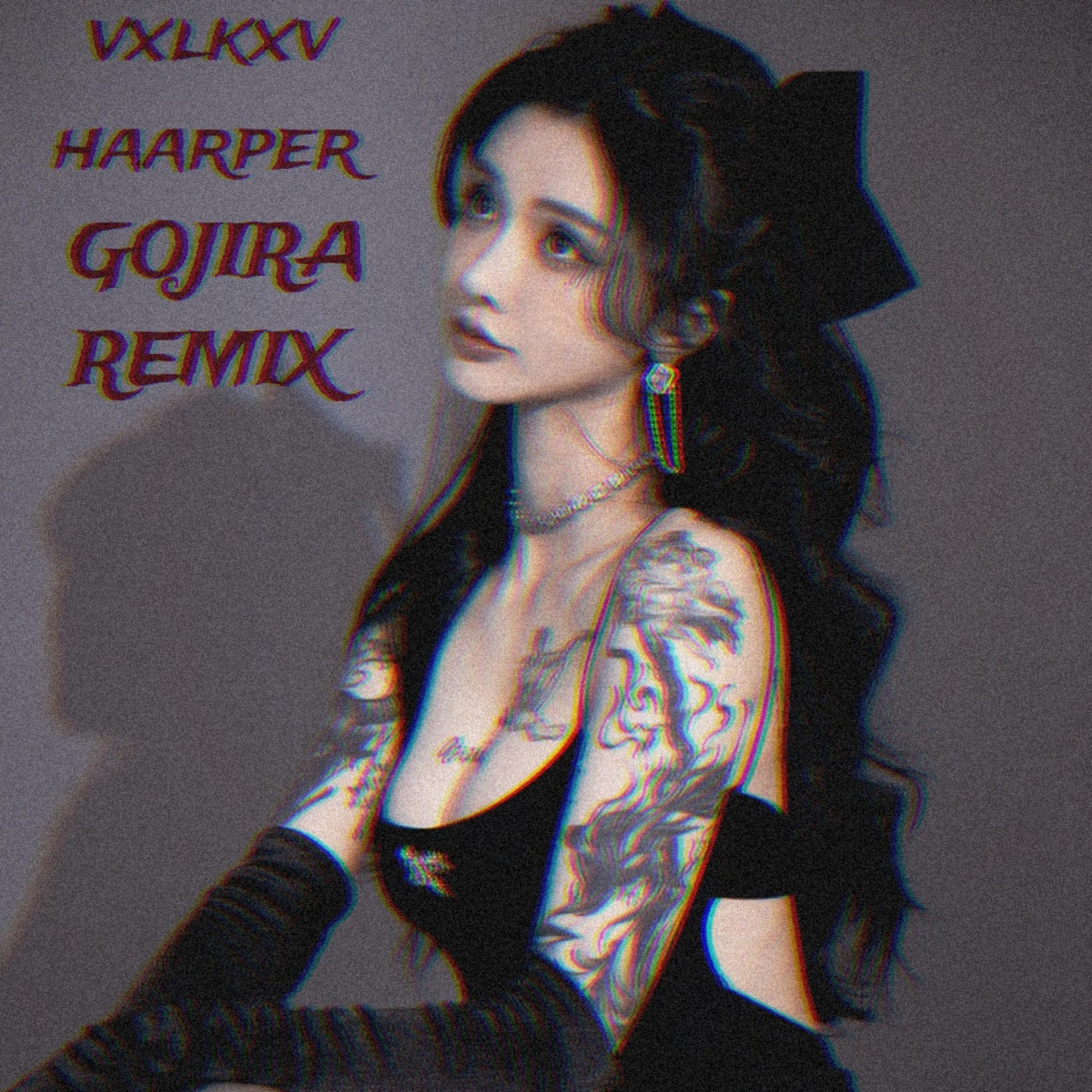 Постер альбома Gojira (Remix)