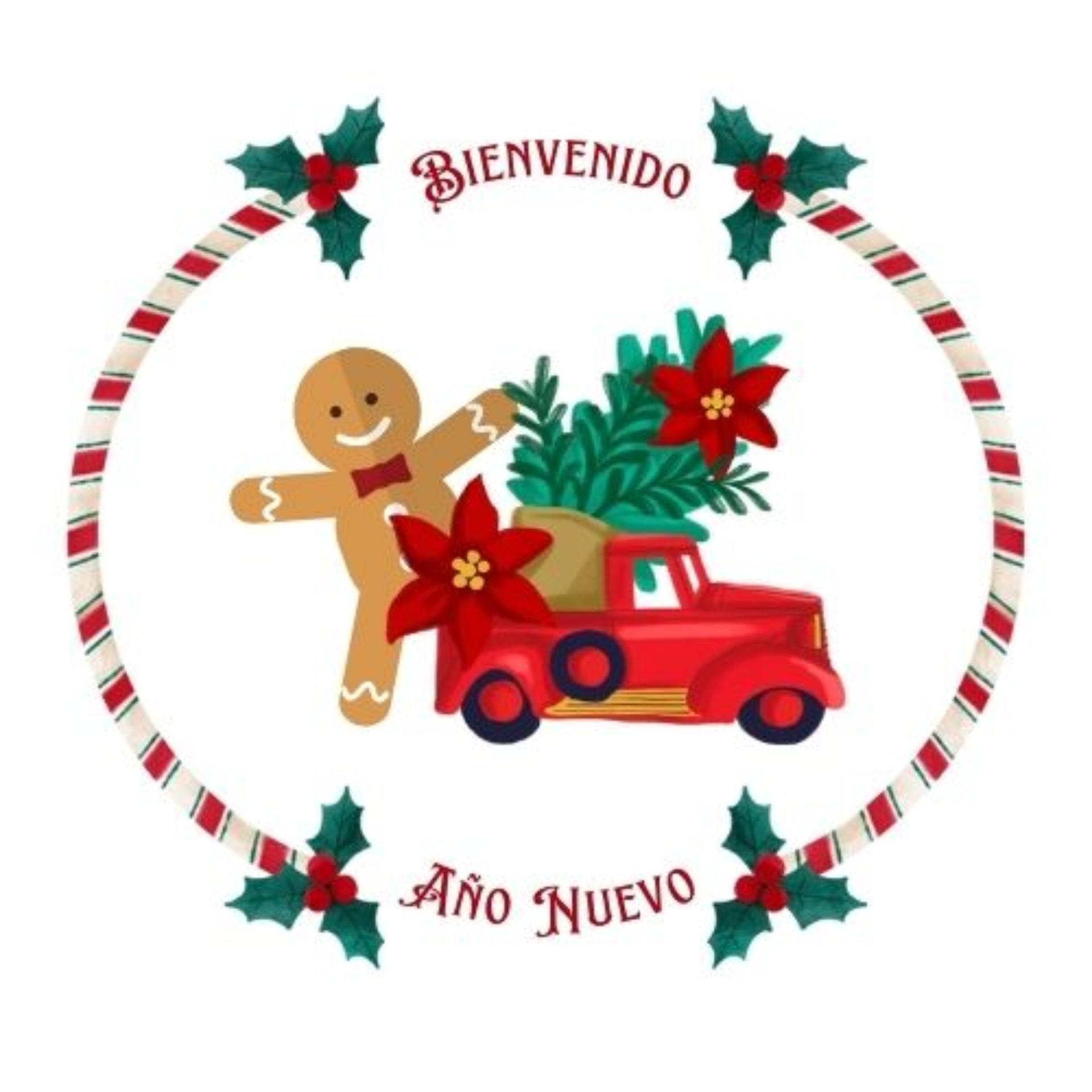 Постер альбома Bienvenido Año Nuevo