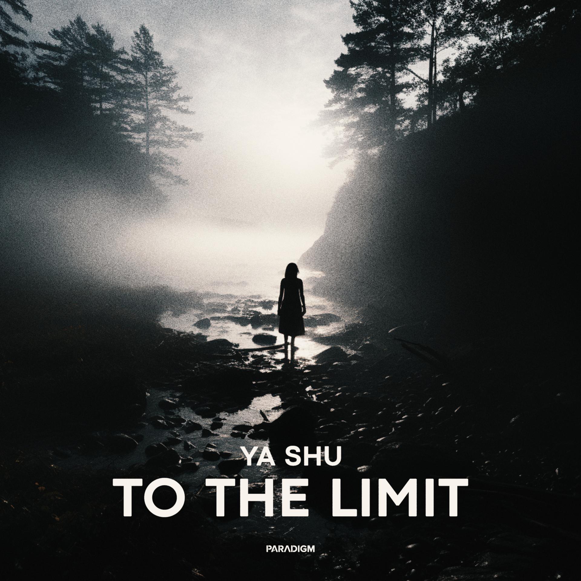 Постер альбома To the Limit