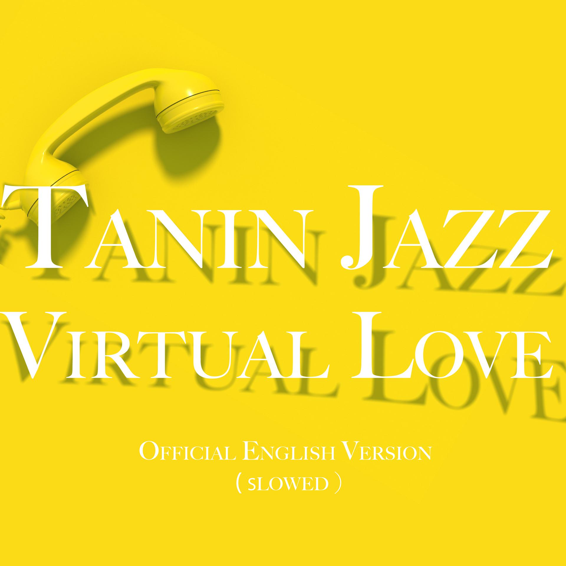 Постер альбома Virtual Love (Official English Version)