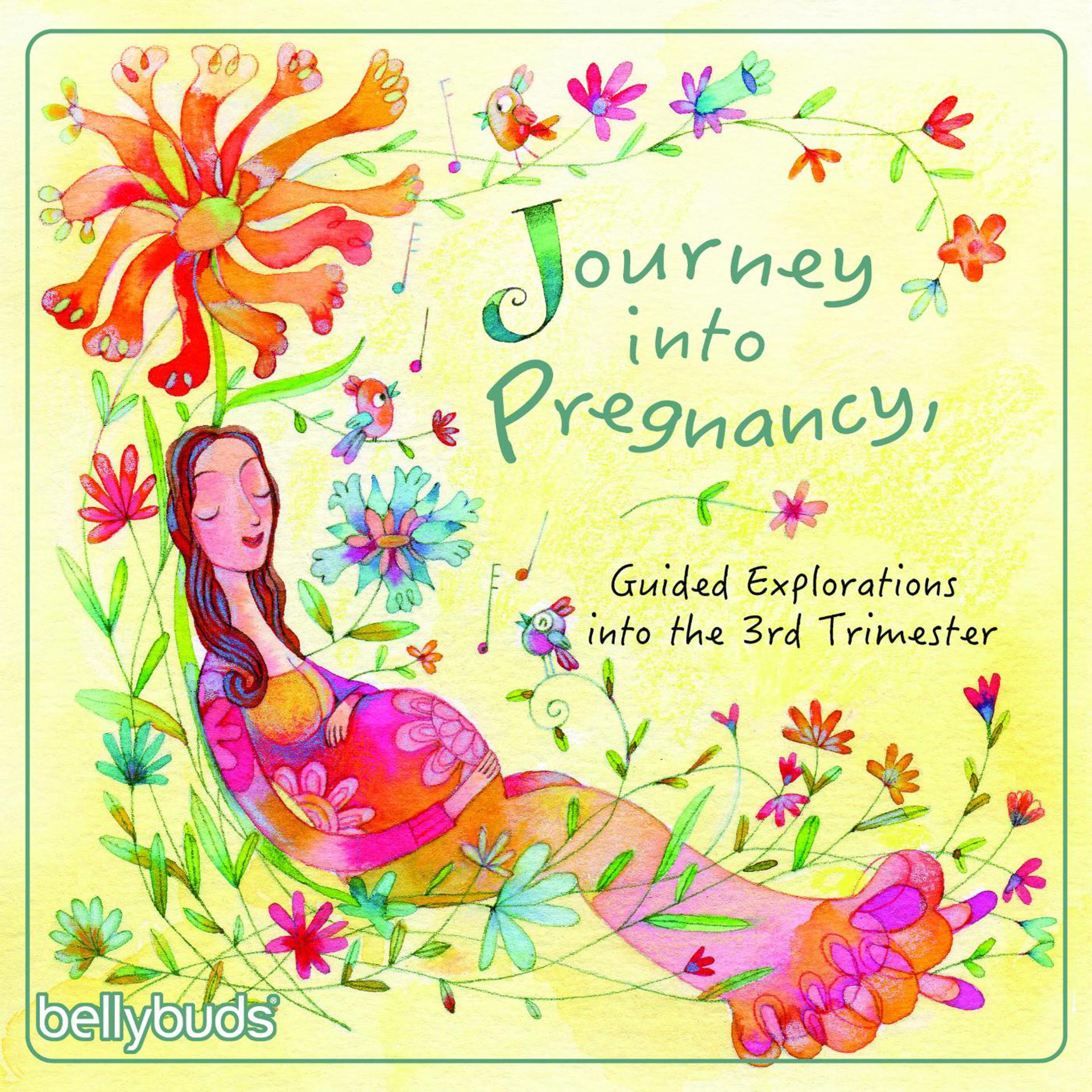 Постер альбома Journey into Pregnancy, Guided Explorations into the 3rd Trimester
