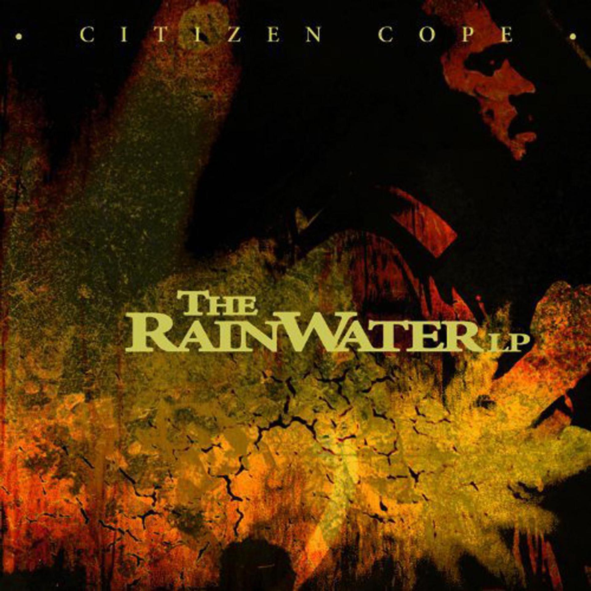 Постер альбома The Rainwater Lp