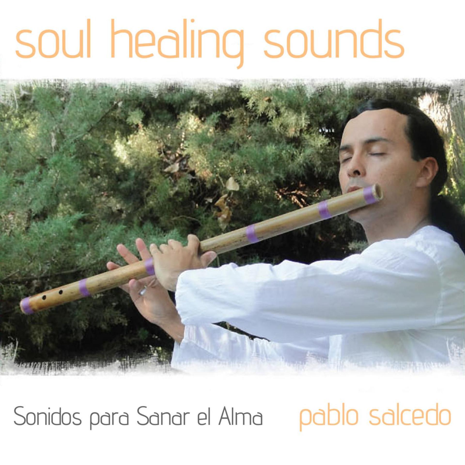 Постер альбома Soul Healing Sounds