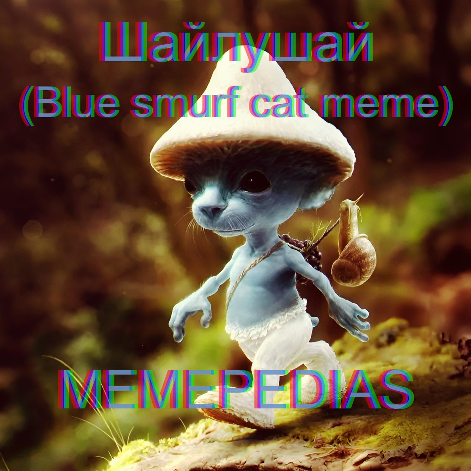 Постер альбома Шайлушай (Blue smurf cat meme)