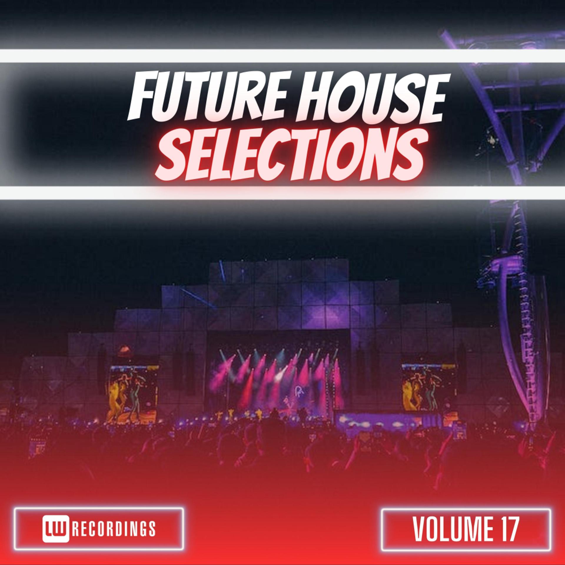 Постер альбома Future House Selections, Vol. 17