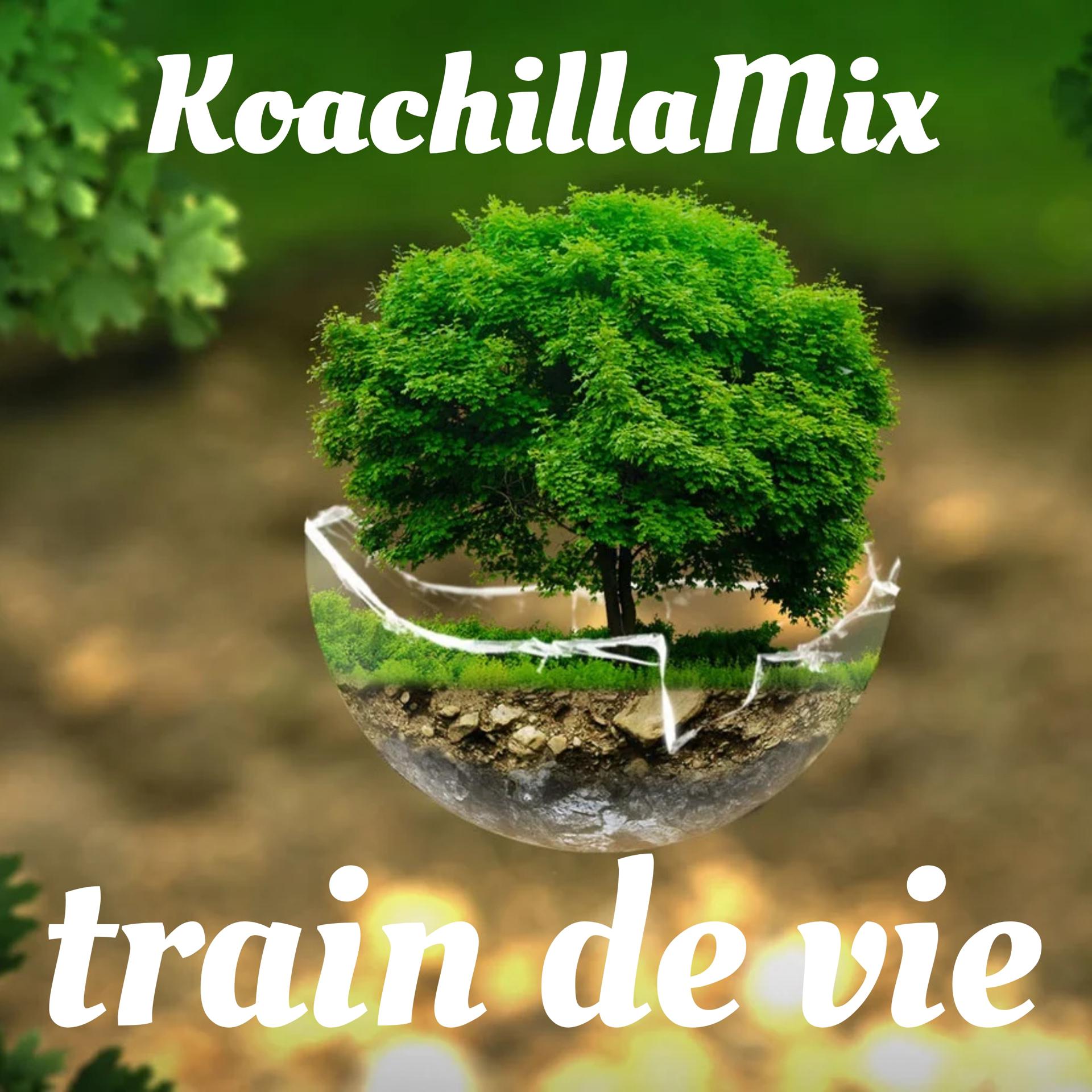 Постер альбома Train de Vie