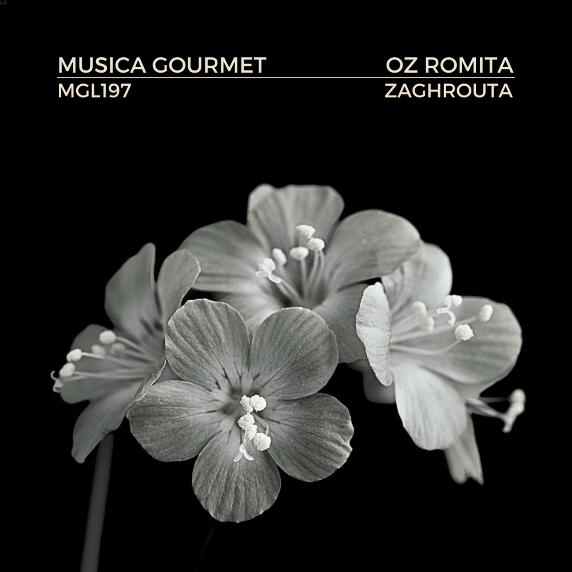 Постер альбома Zaghrouta