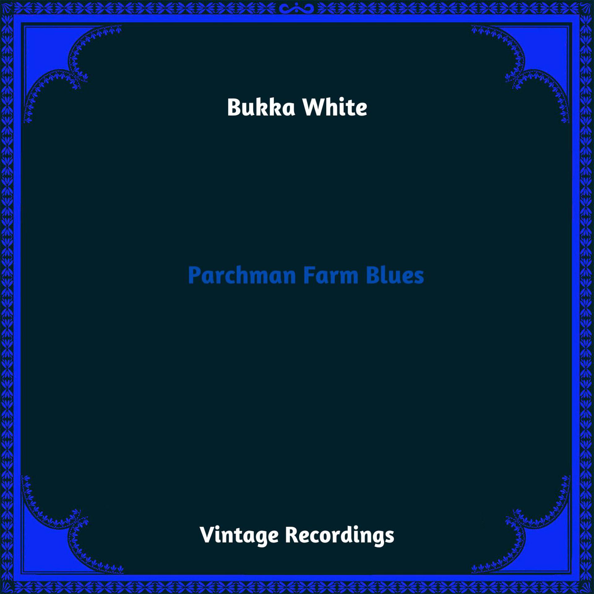 Постер альбома Parchman Farm Blues
