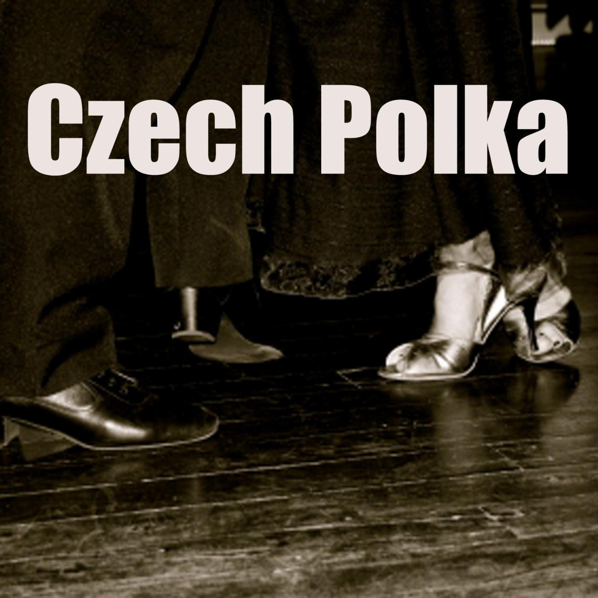 Постер альбома Czech Polka Music