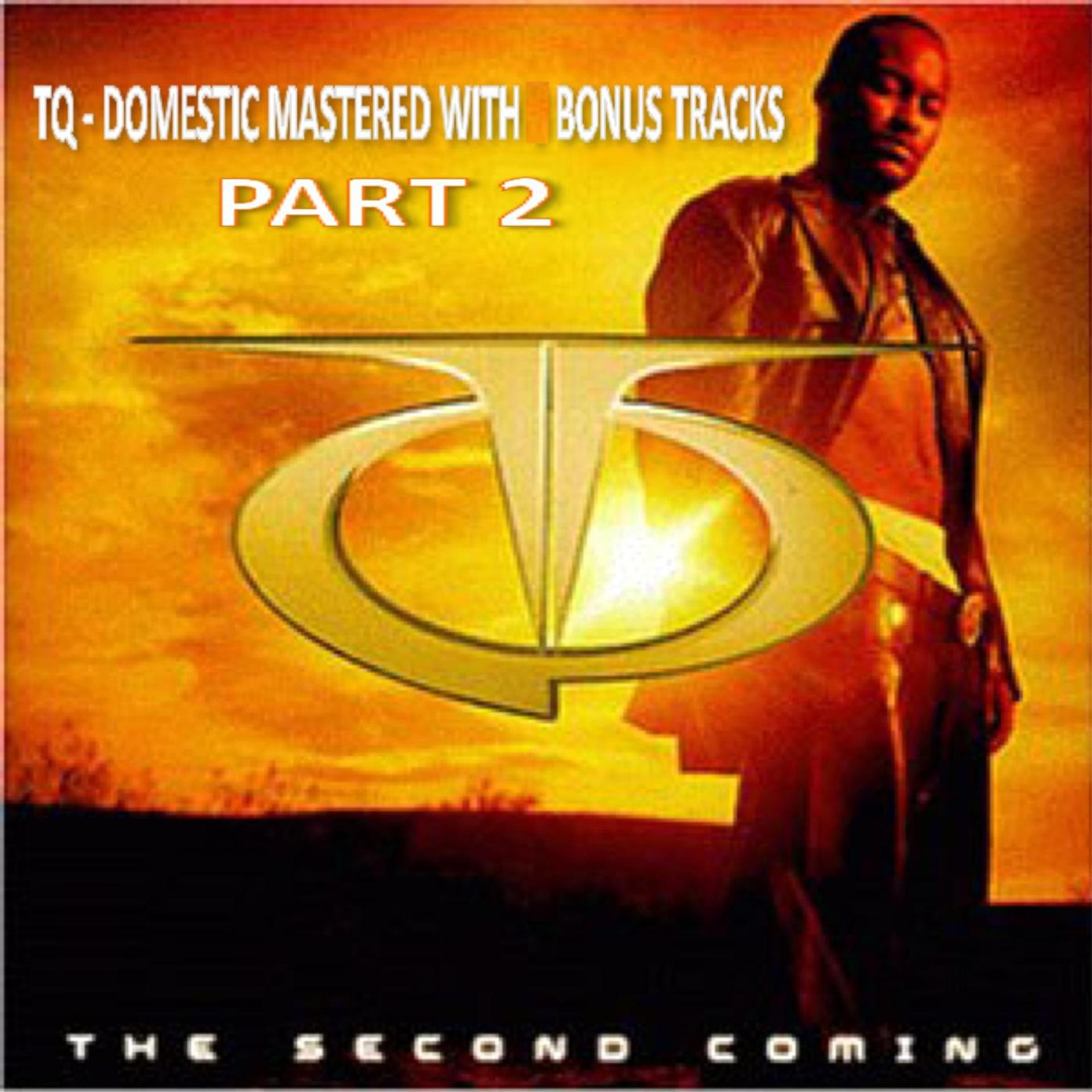 Постер альбома Tq the Second Coming Domestic With Bonus Tracks Part 2
