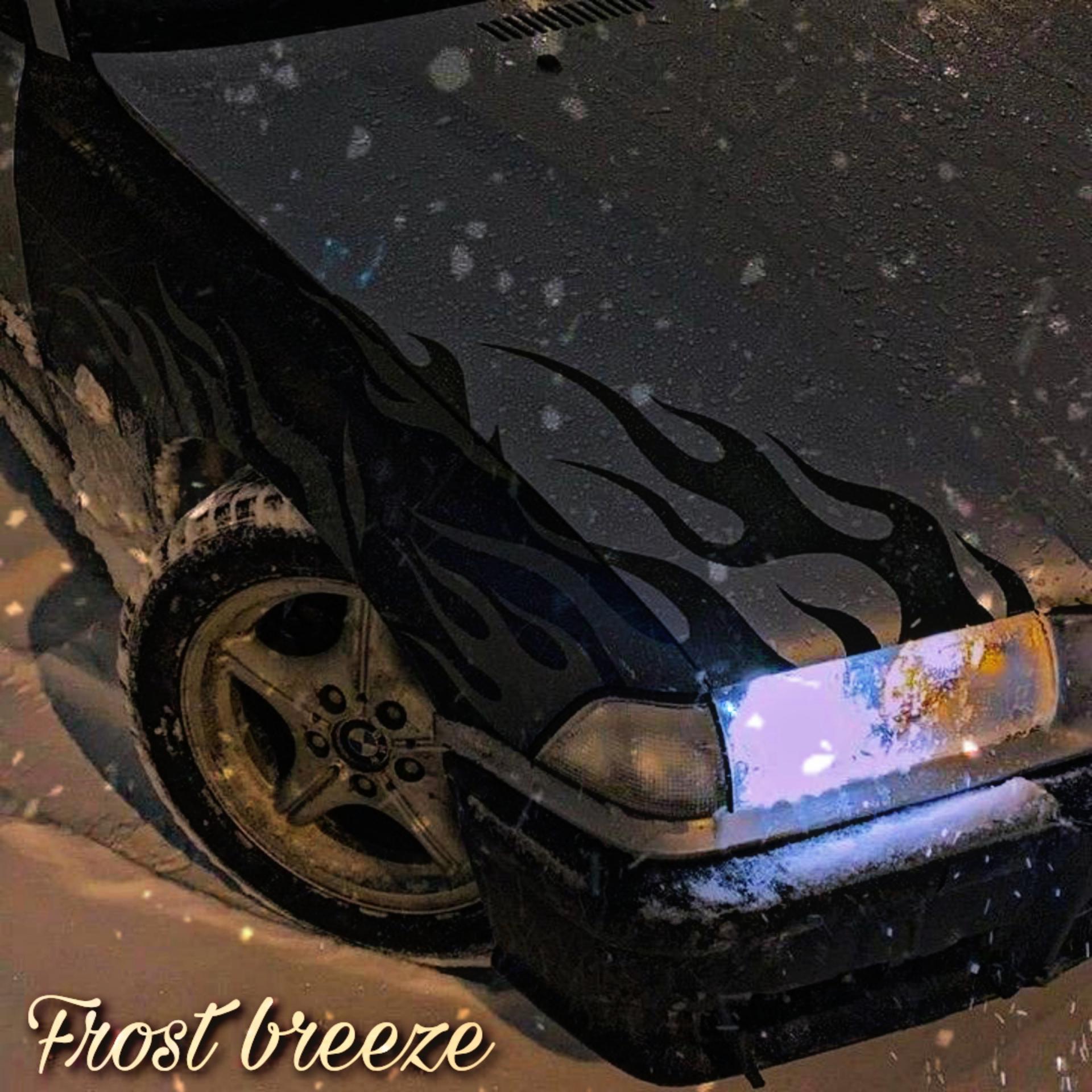 Постер альбома Frost breeze