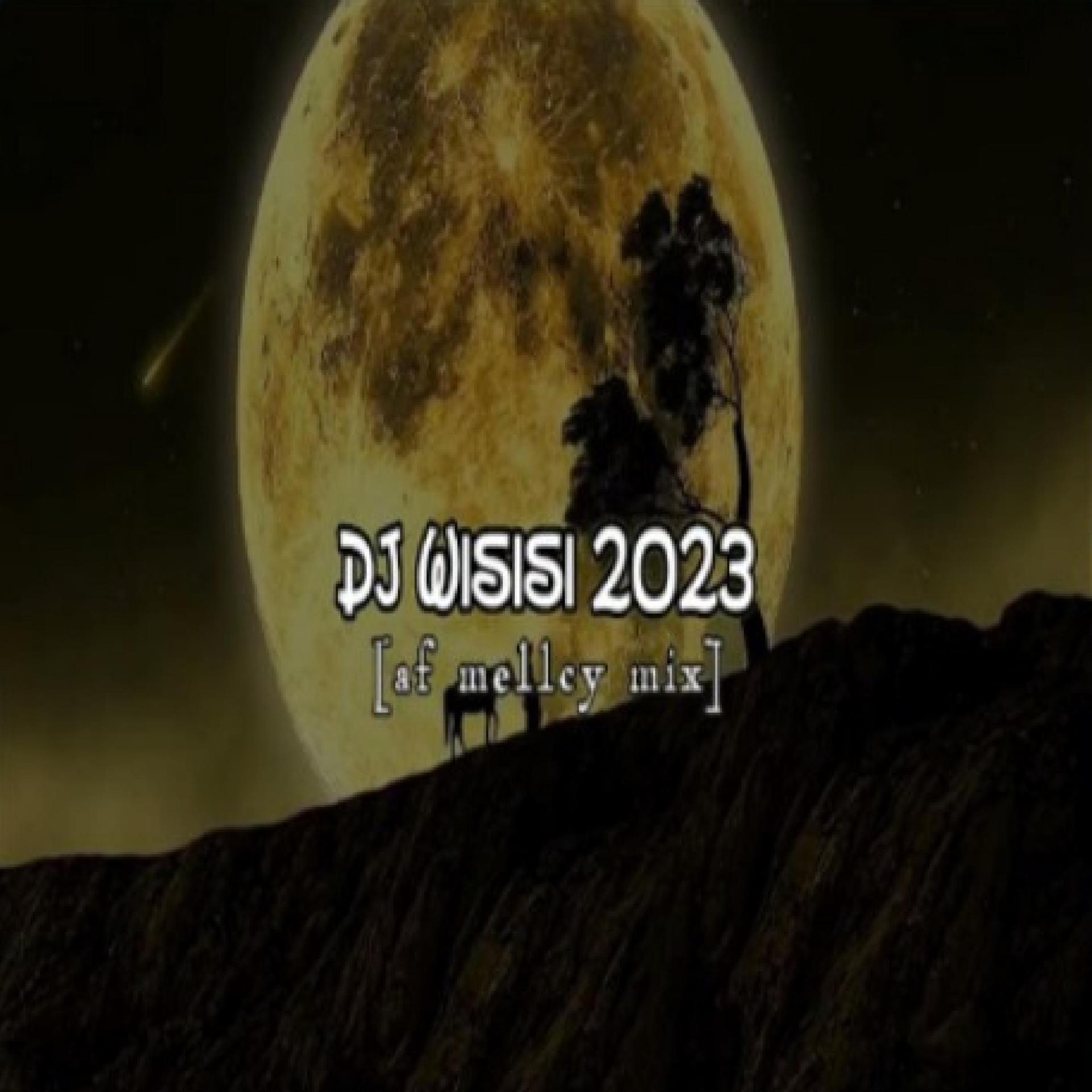 Постер альбома DJ Wisisi 2023