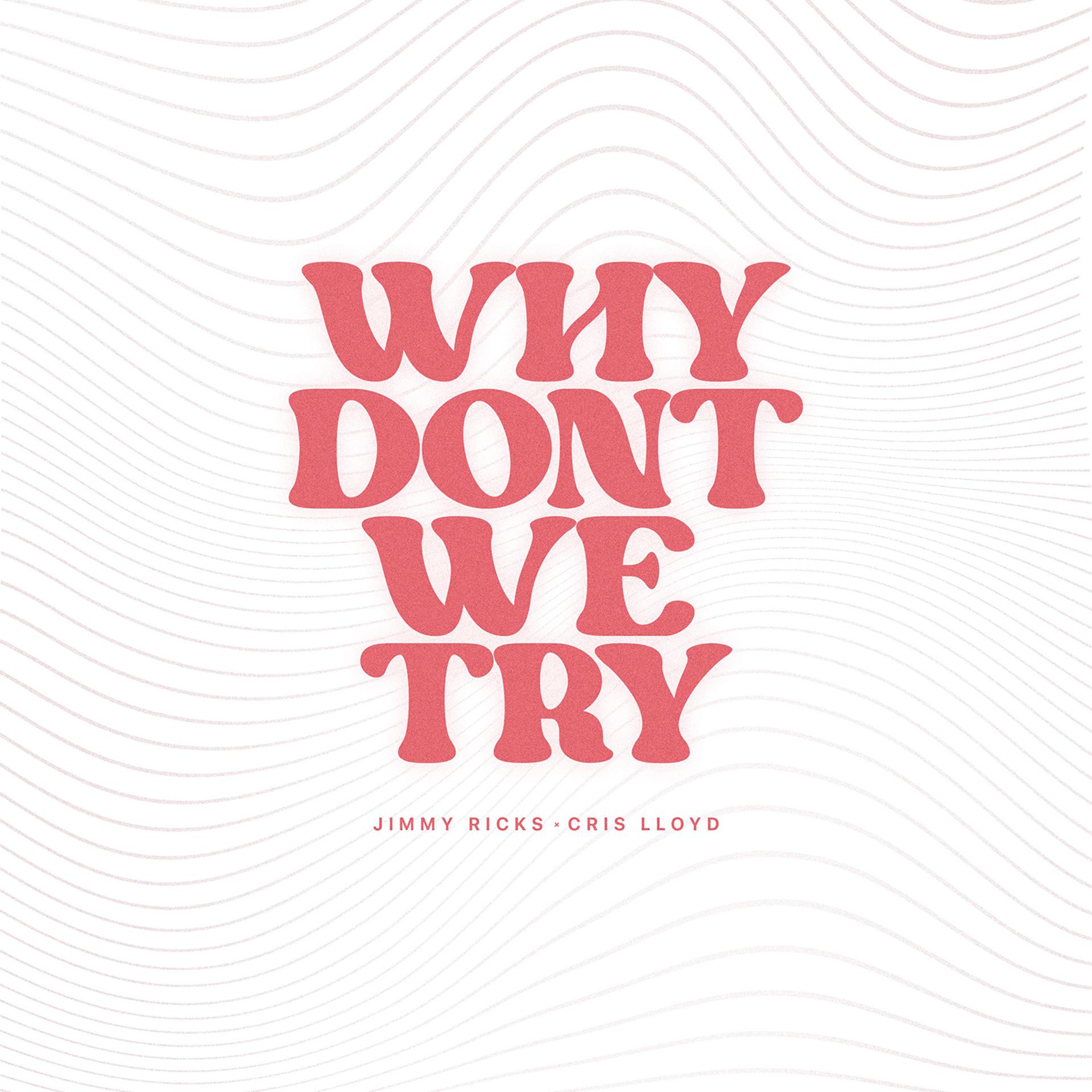 Постер альбома why don't we try
