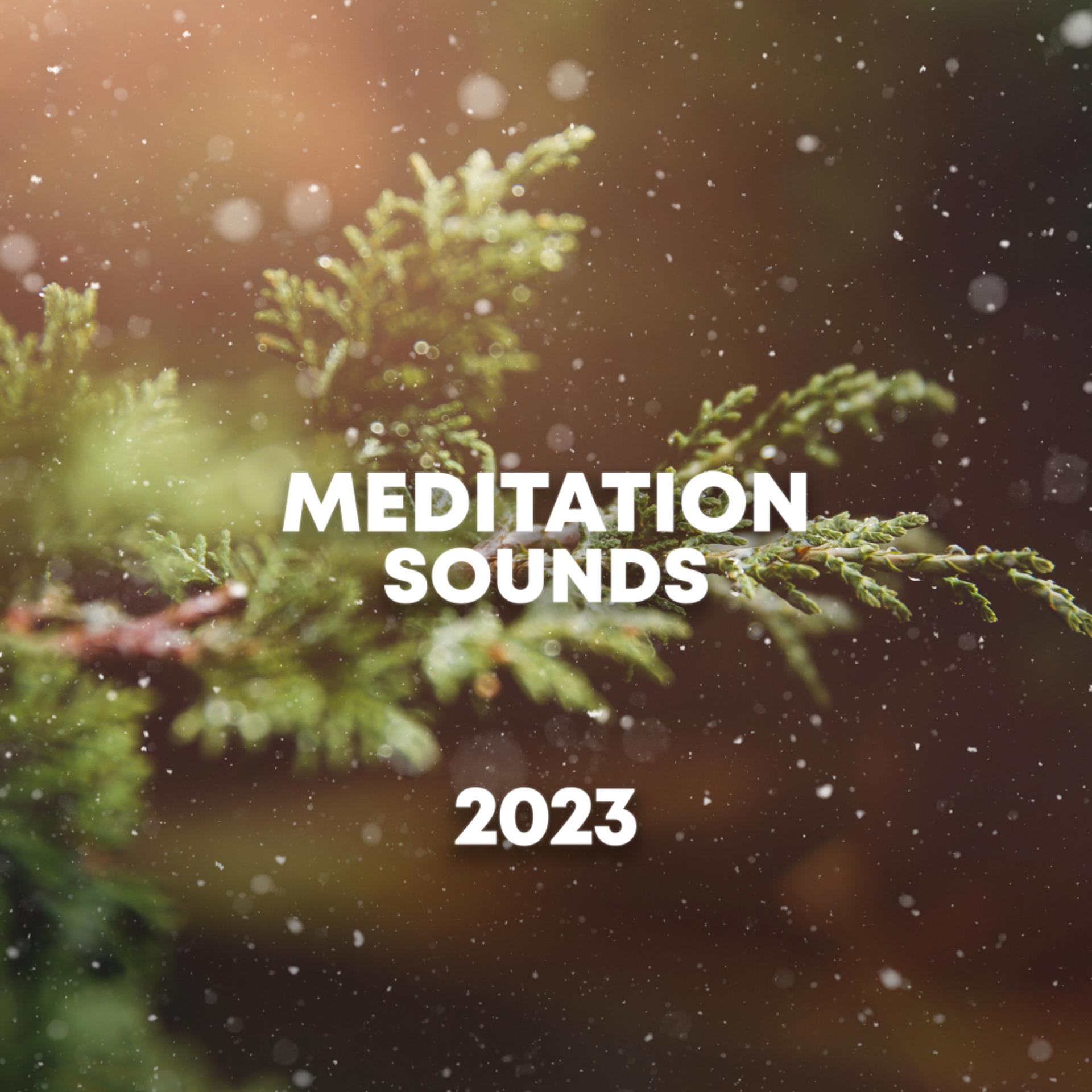 Постер альбома Meditation Sounds 2023