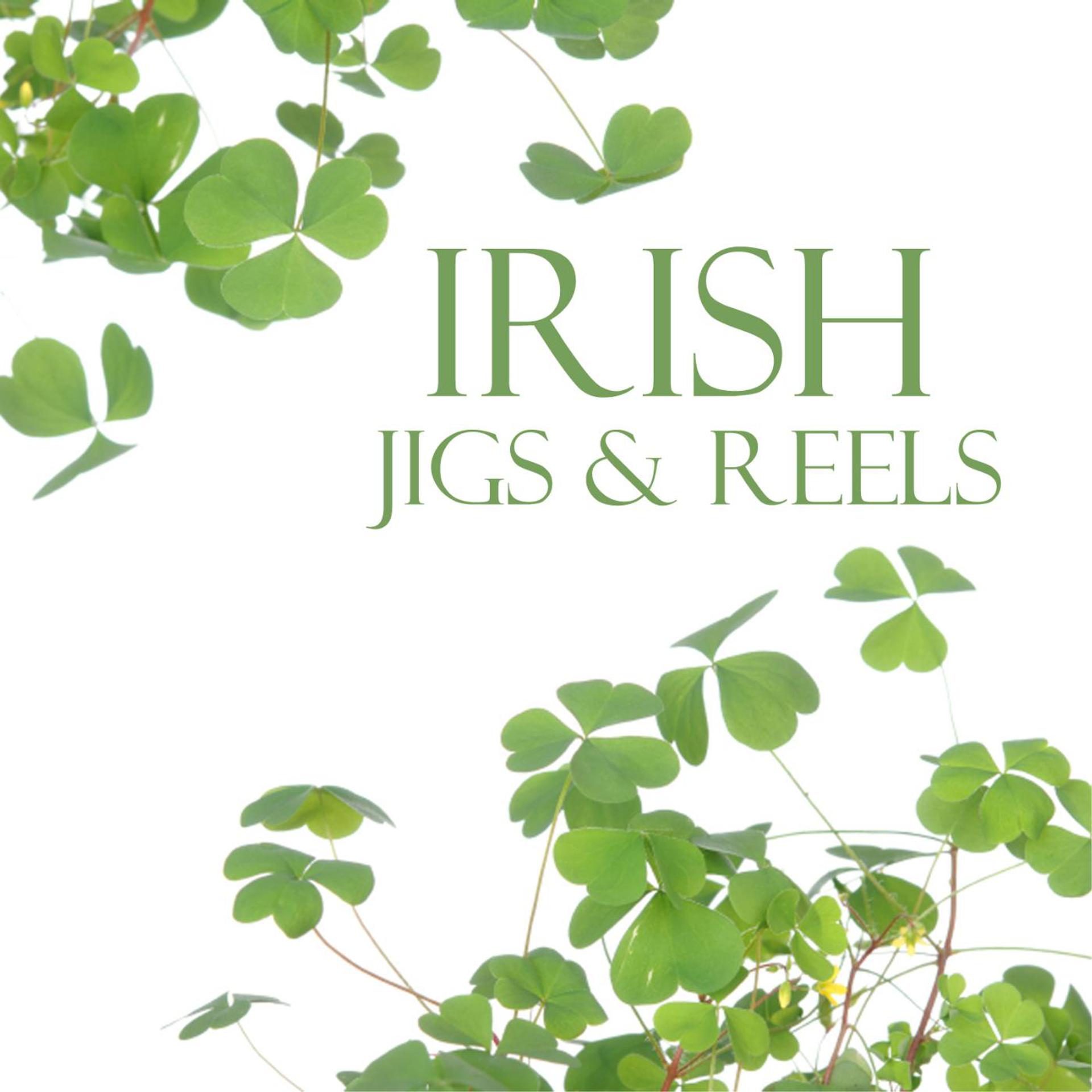 Постер альбома Irish Jigs and Reels