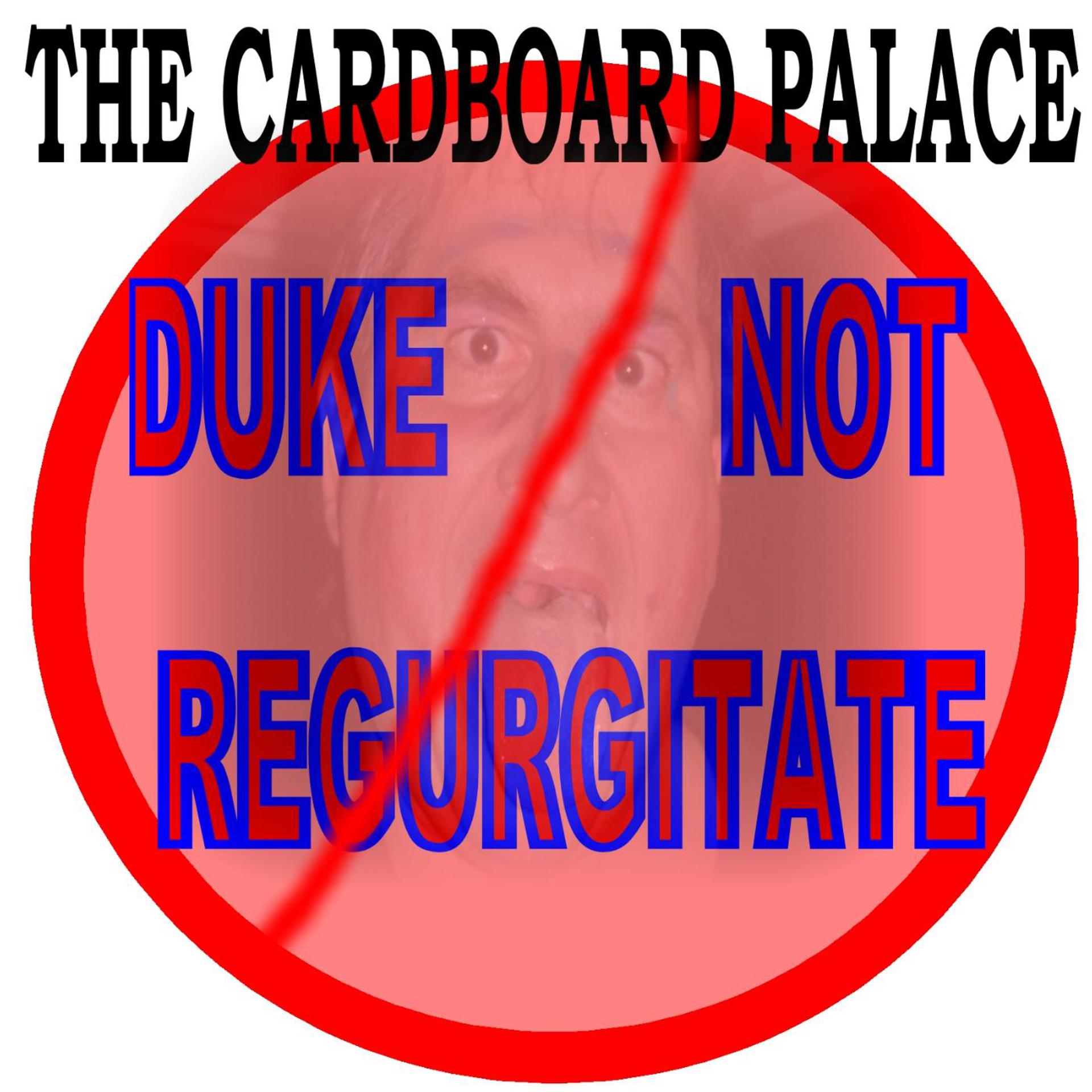 Постер альбома Duke Not Regurgitate