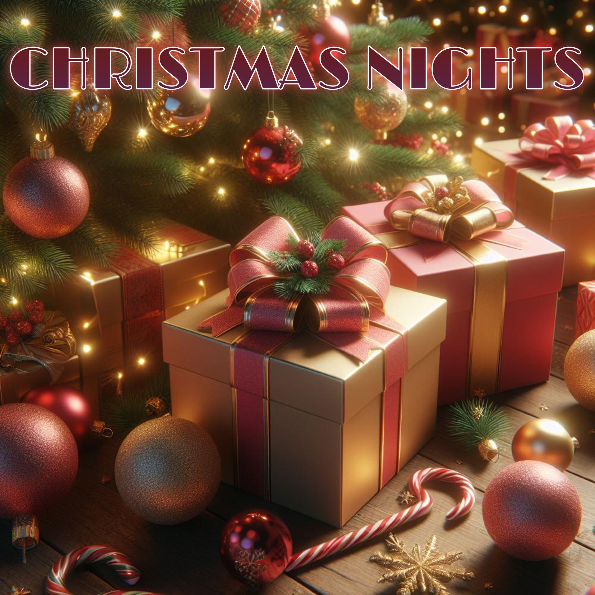 Постер альбома Christmas Nights Compilation