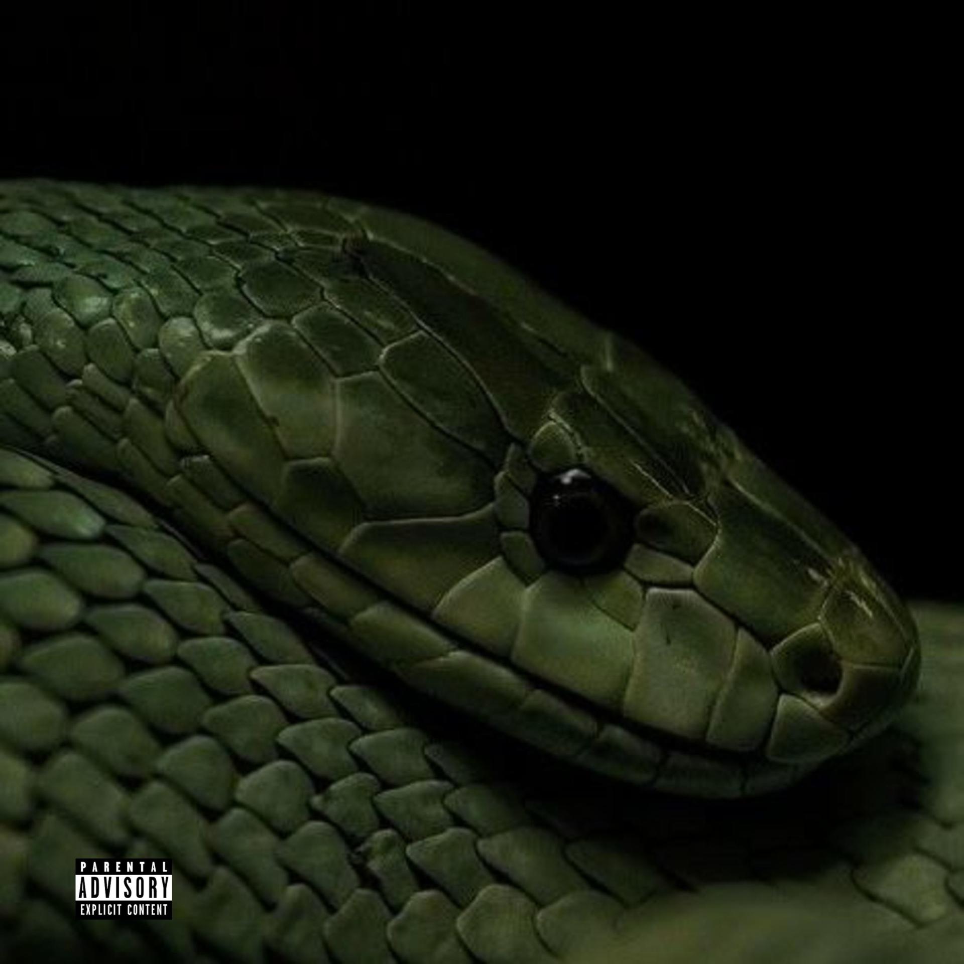 Постер альбома Образ змеи