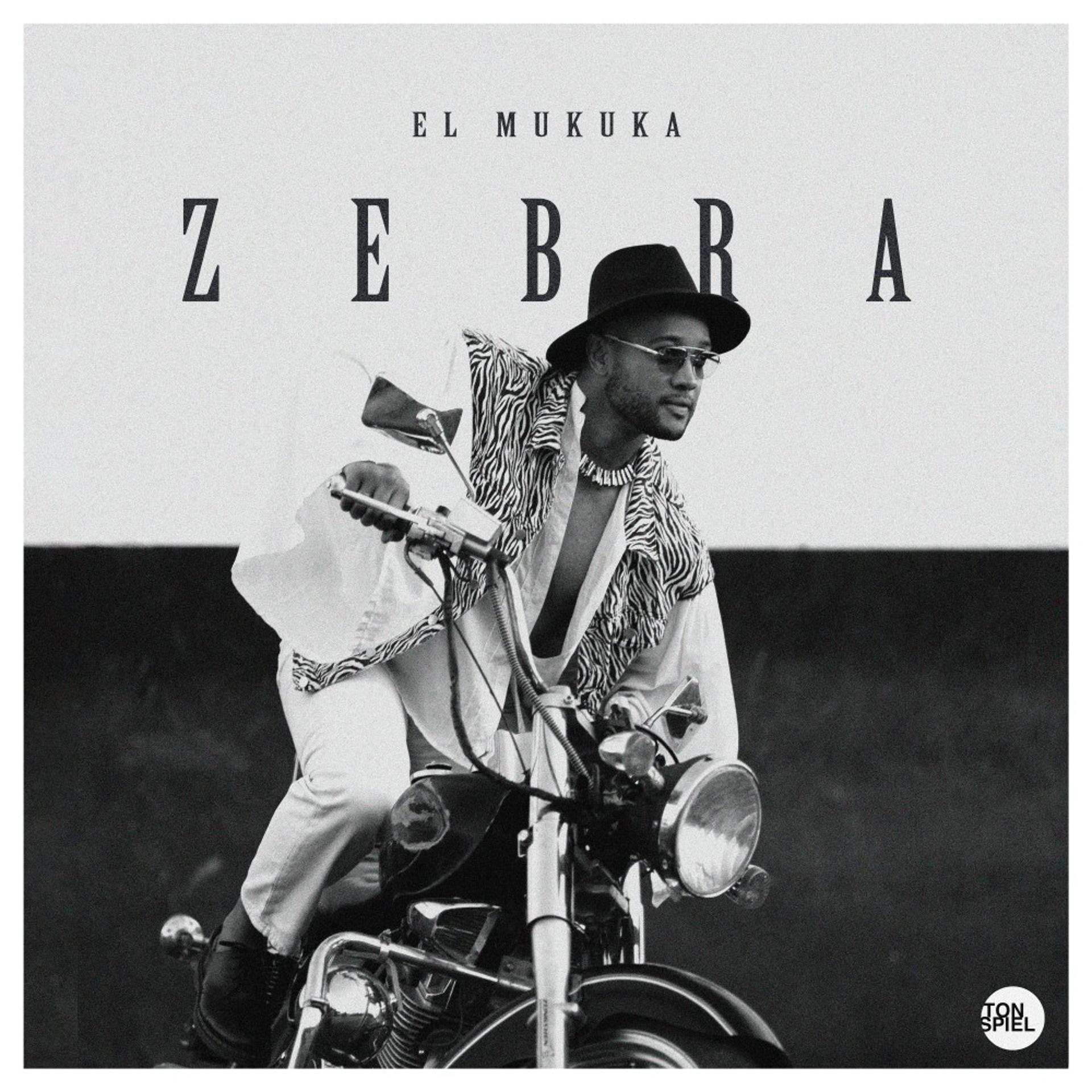 Постер альбома ZEBRA