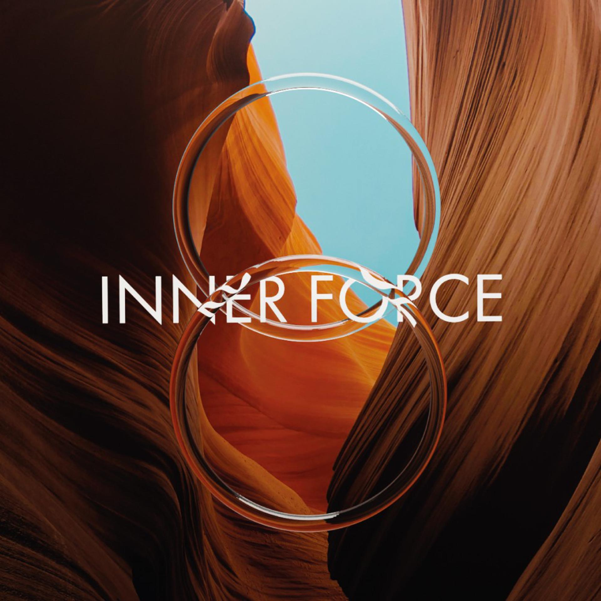 Постер альбома Inner Force