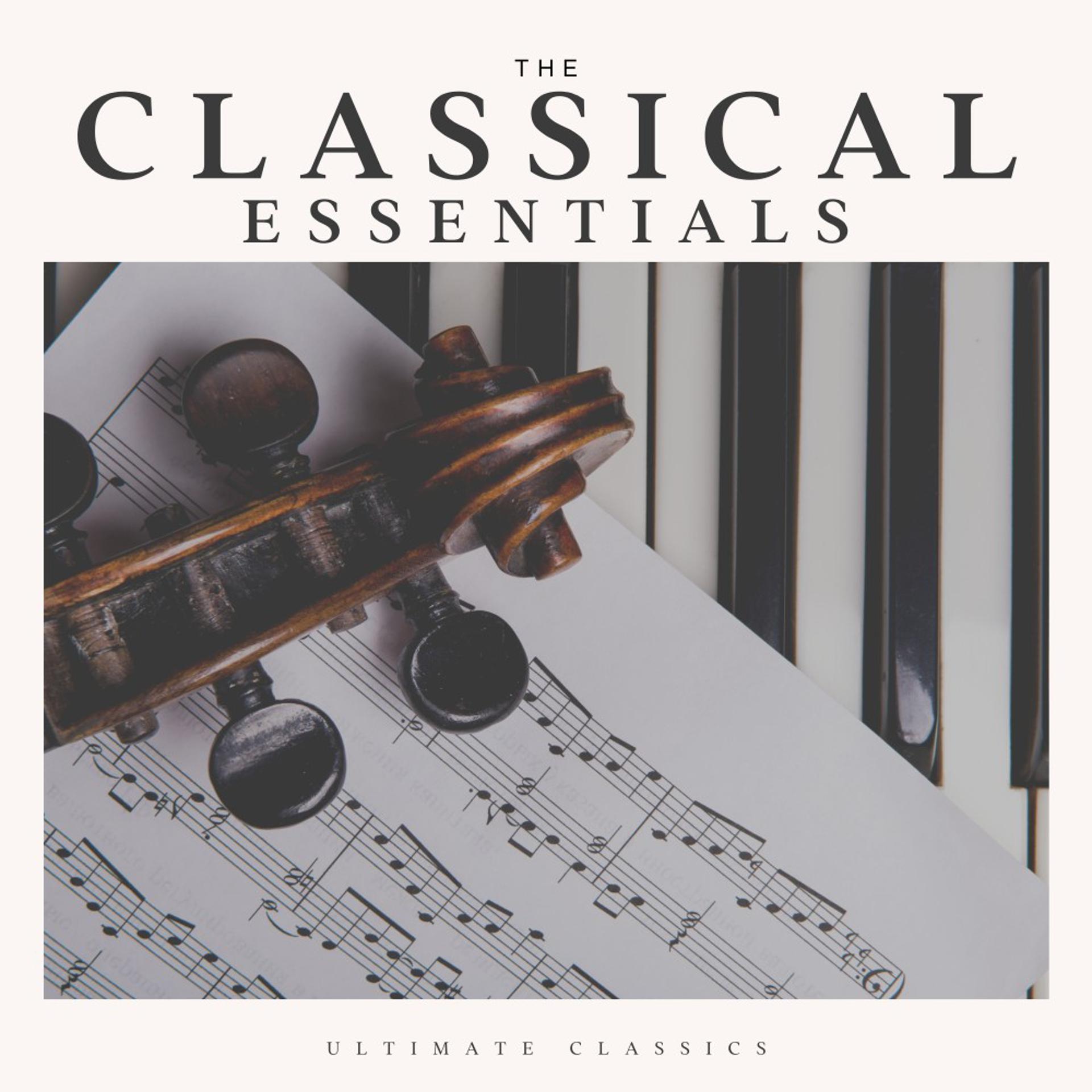 Постер альбома The Classical Essentials