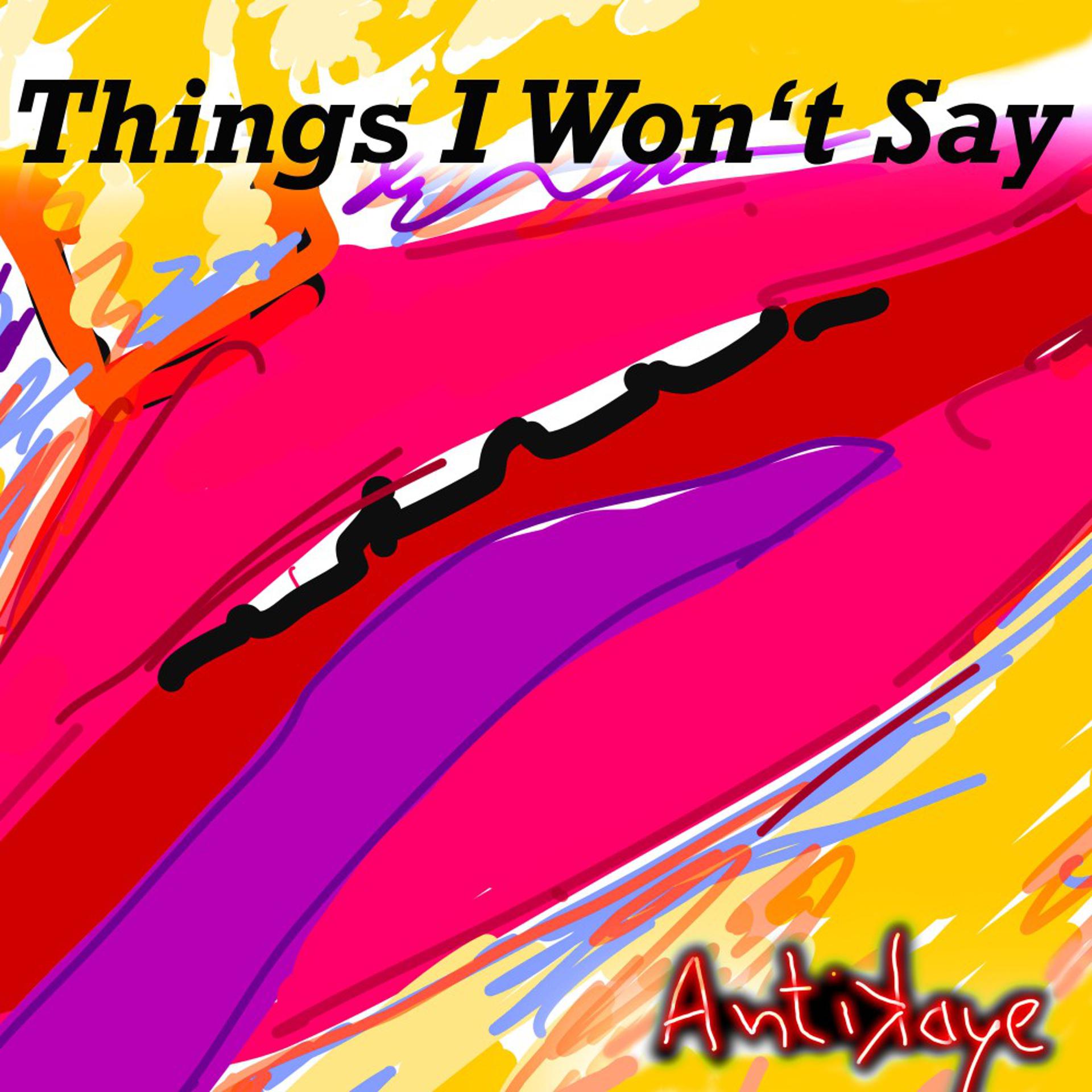 Постер альбома Things I Won't Say