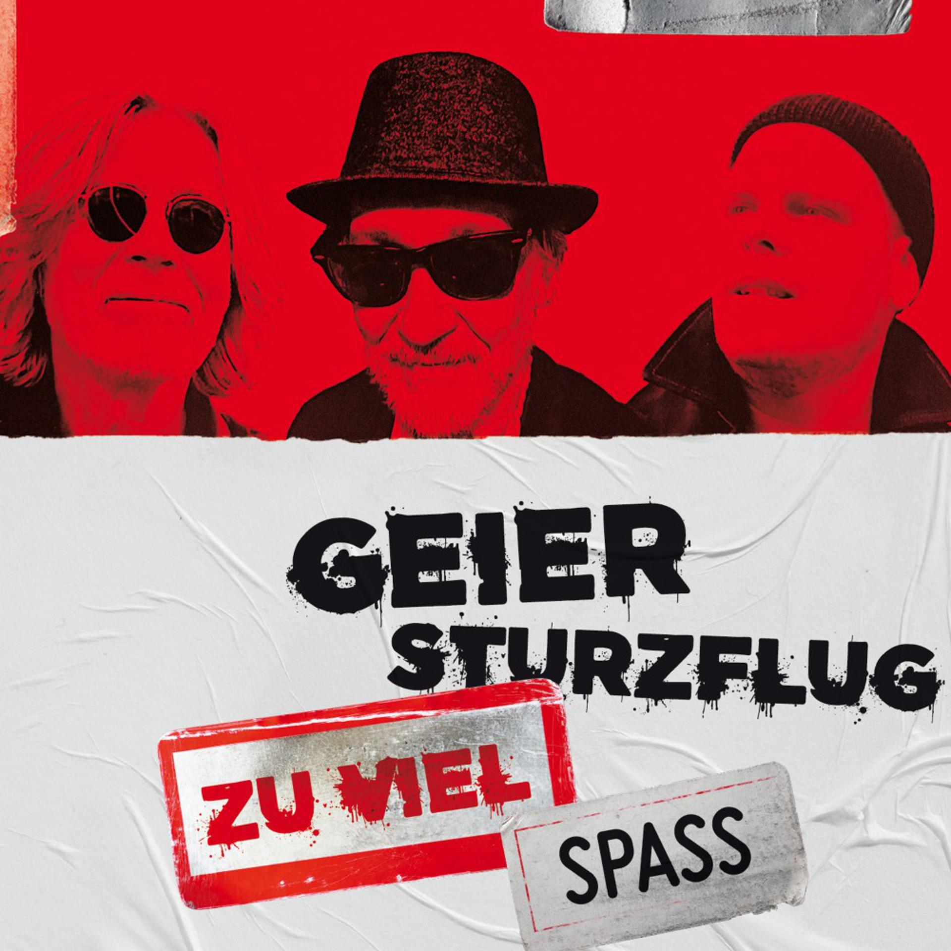 Постер альбома Zu viel Spaß